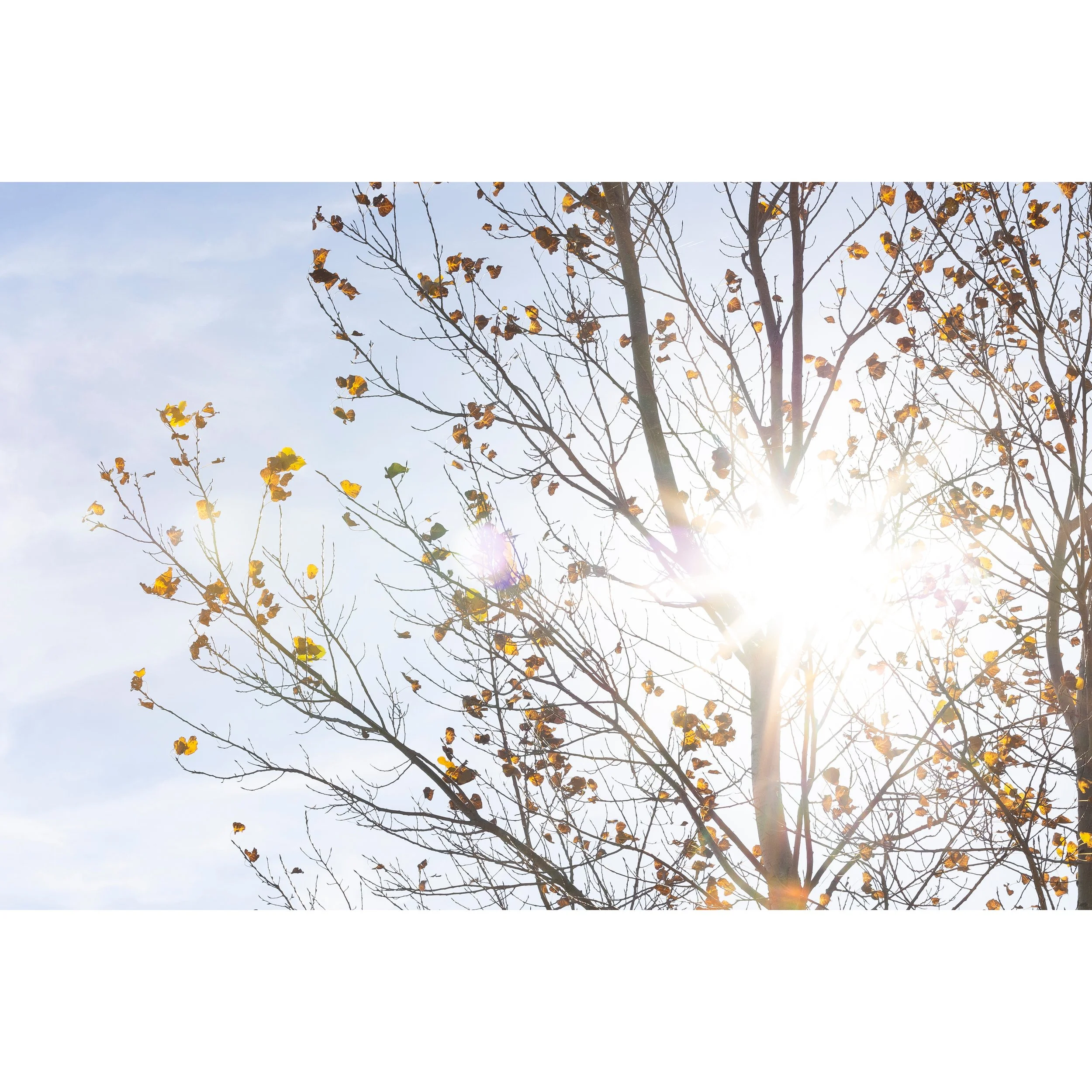 Sun IV