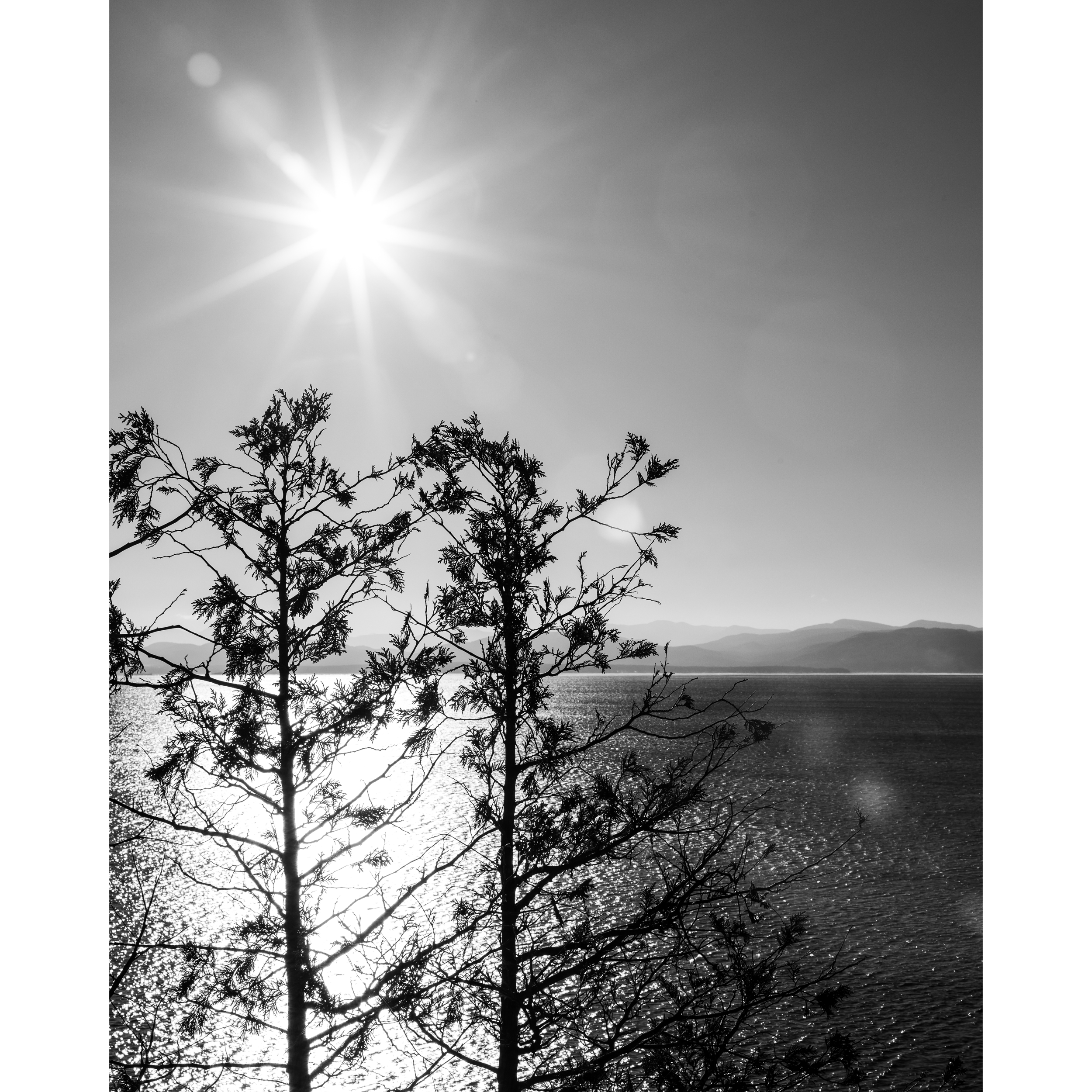 Sun LVII