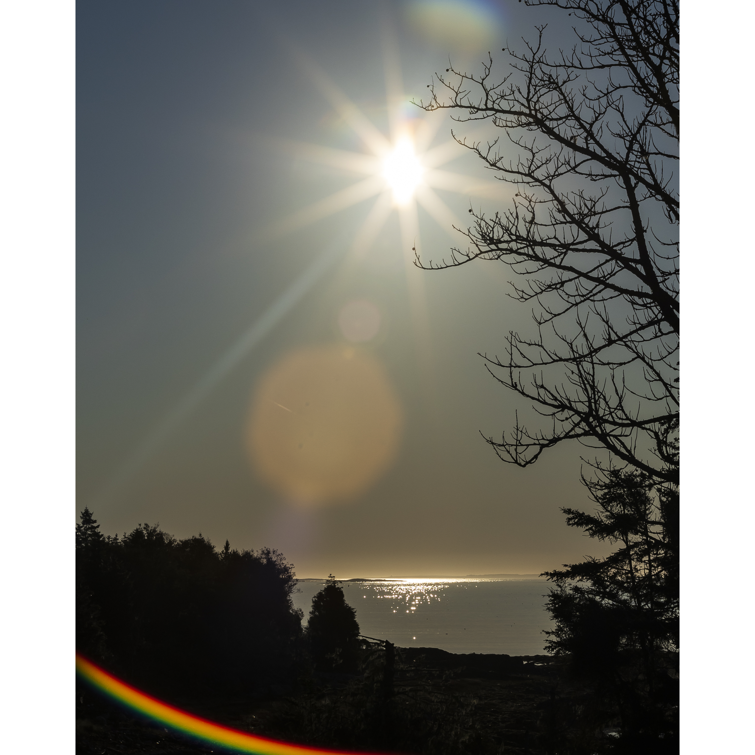 Sun XVI