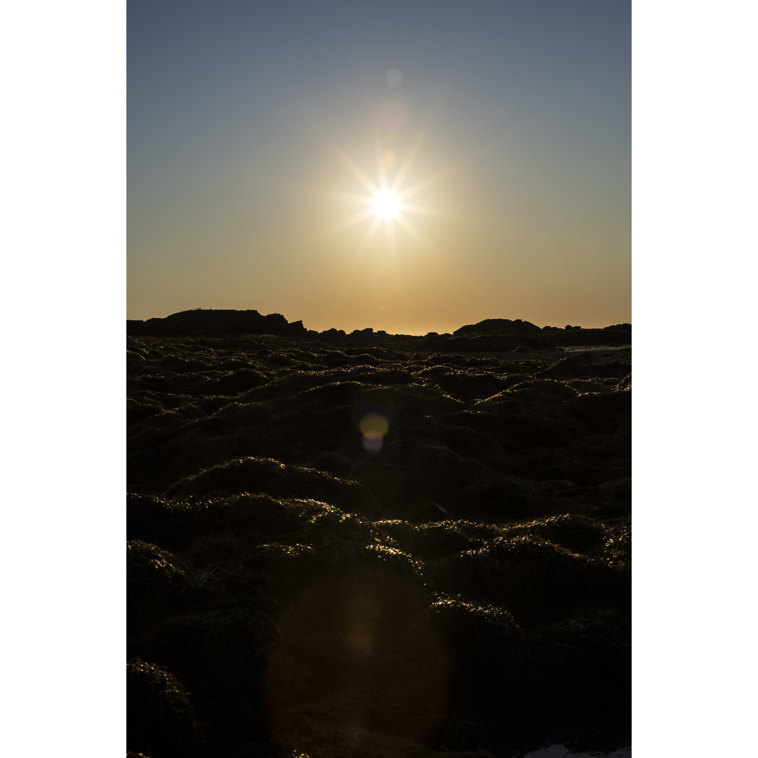 Sun XV