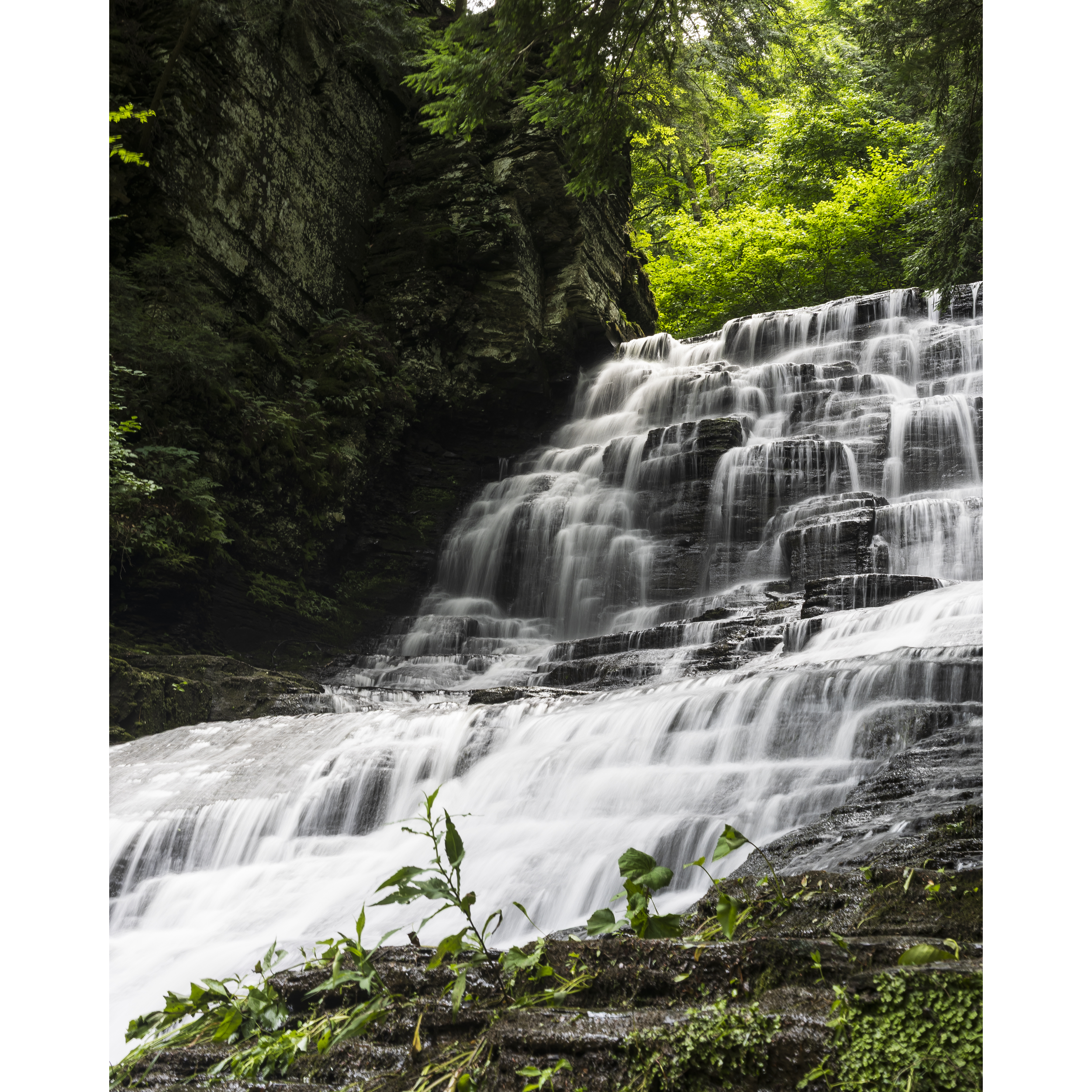 Waterfall I