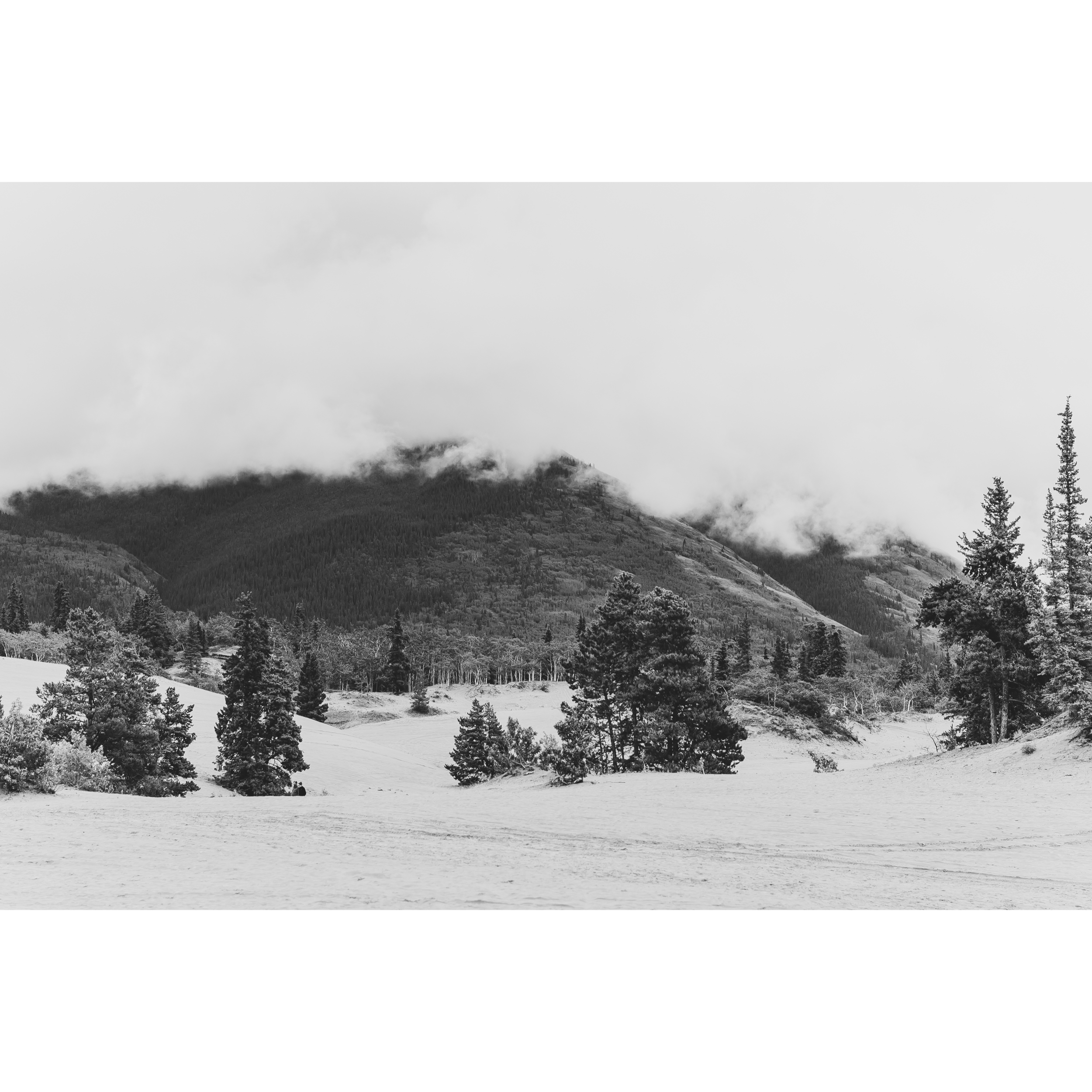 Carcross Desert I