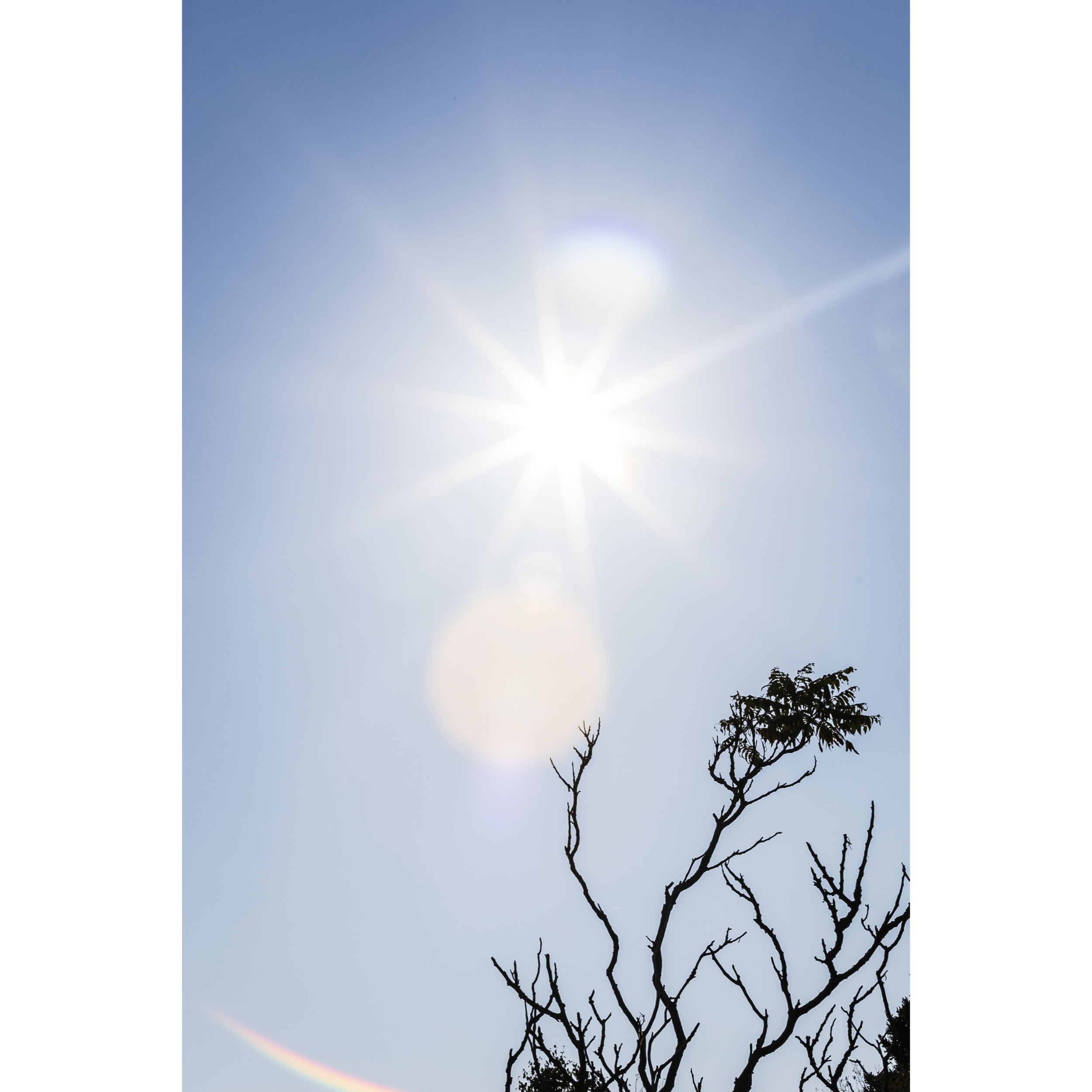Sun IX