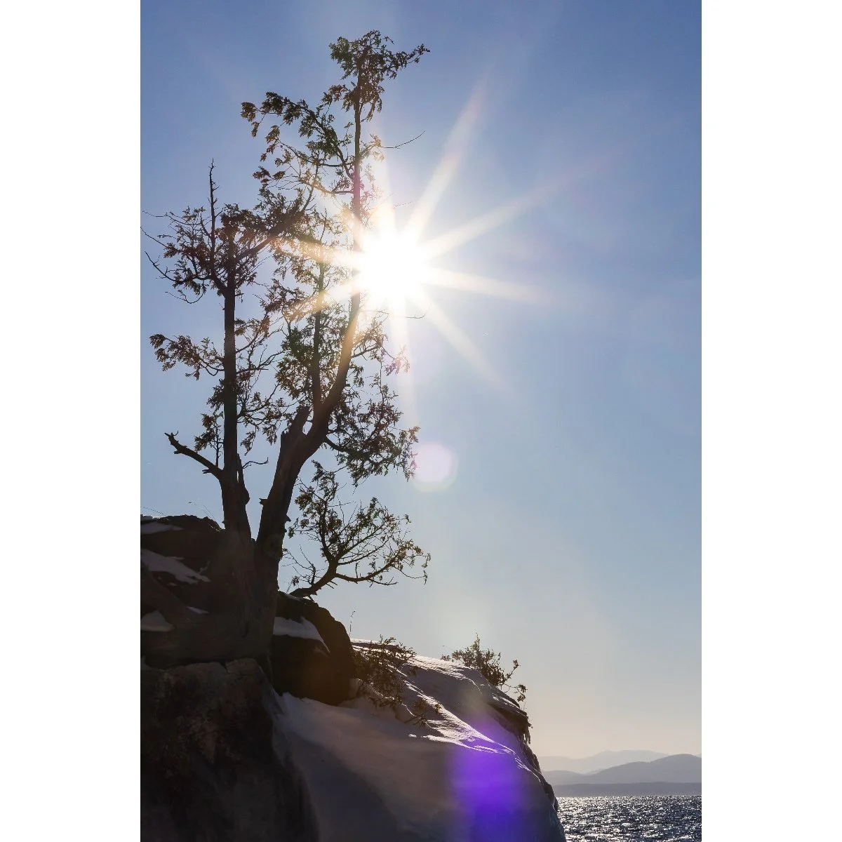 Sun XLVII