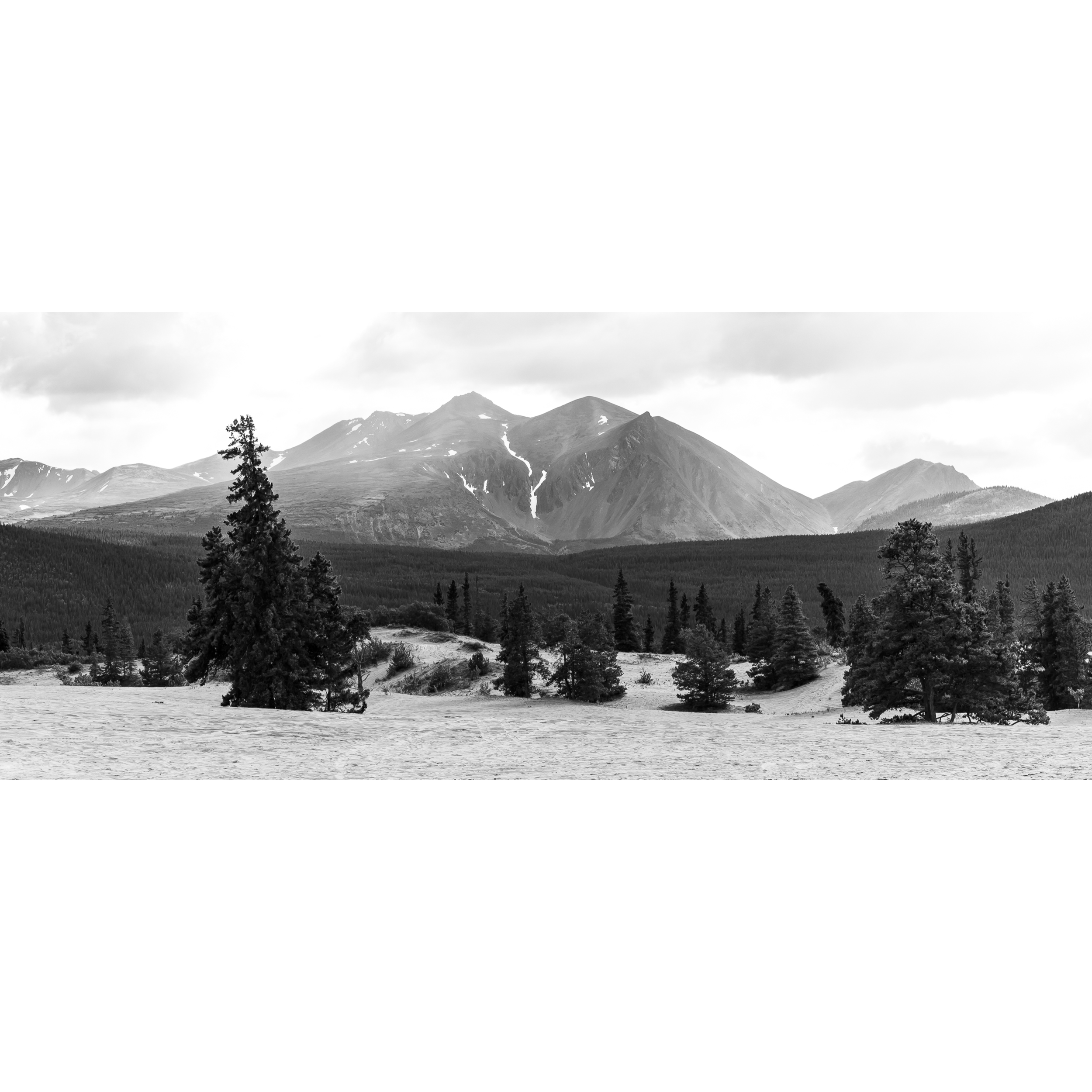 Carcross Desert III