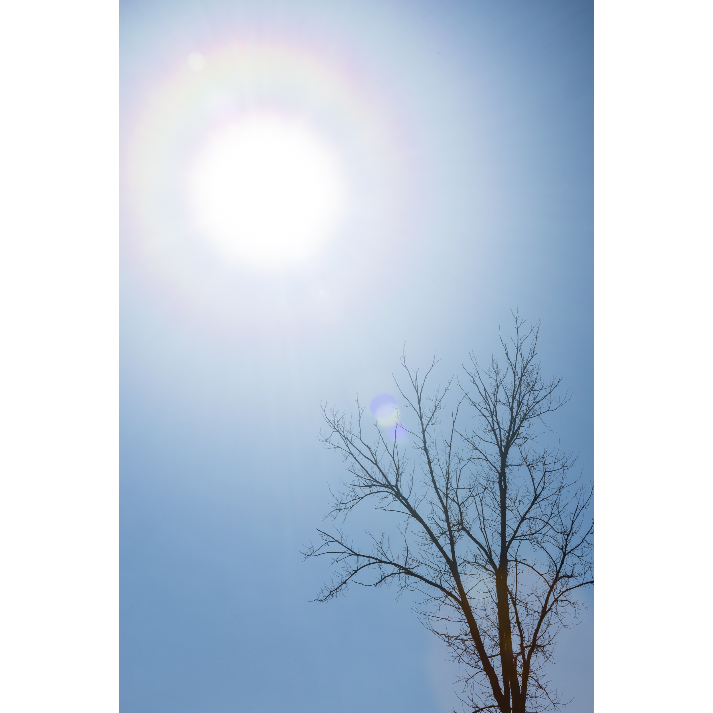 Sun XXIX
