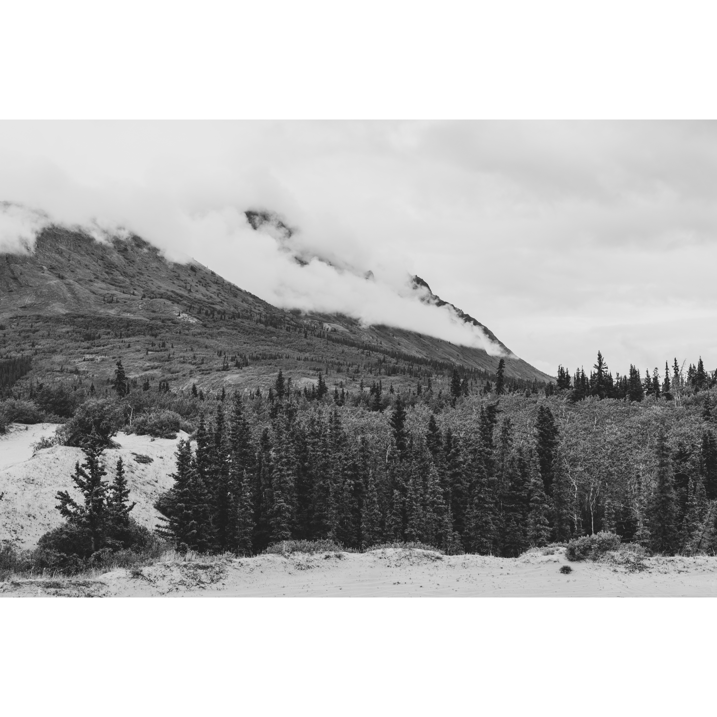 Carcross Desert II