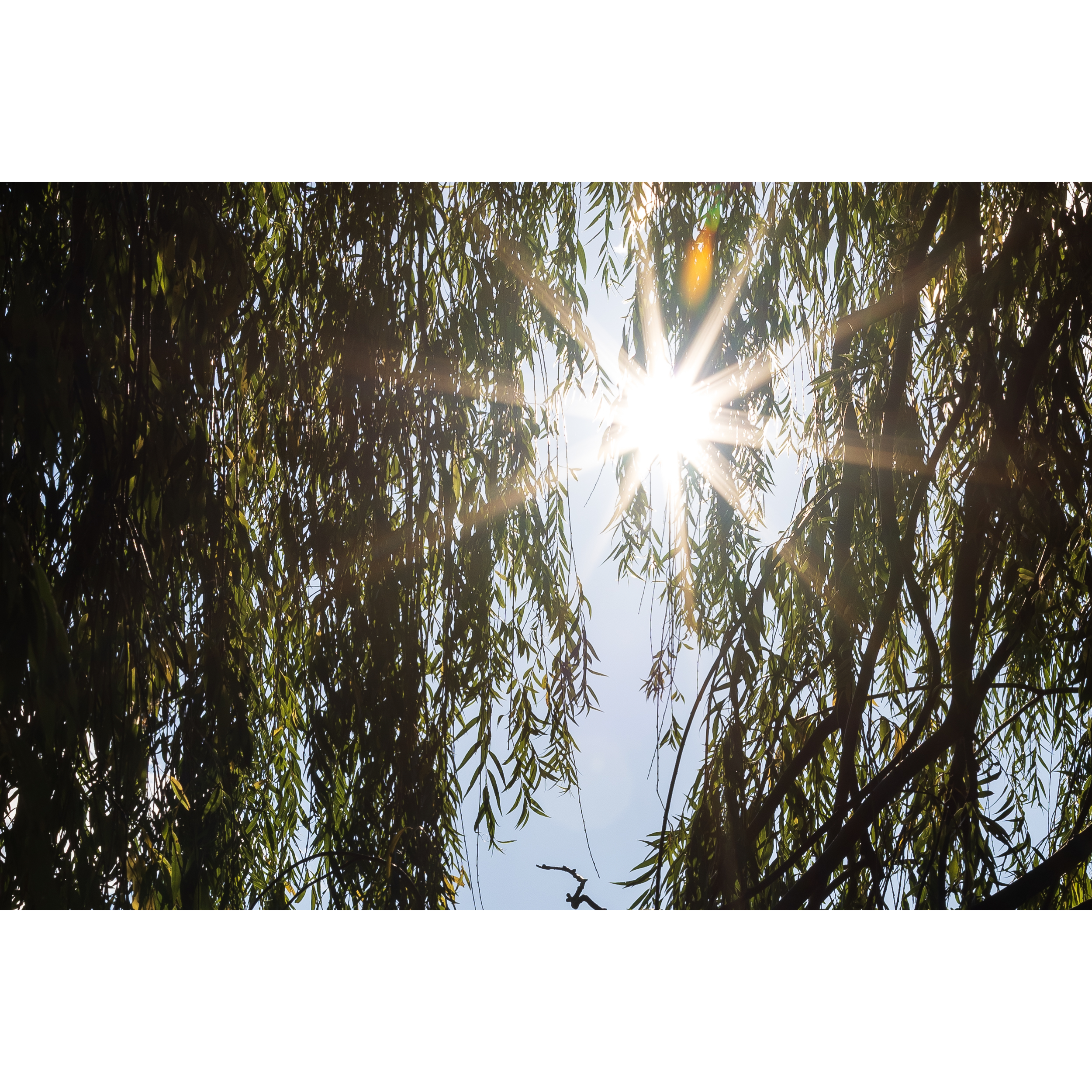 Sun XXI