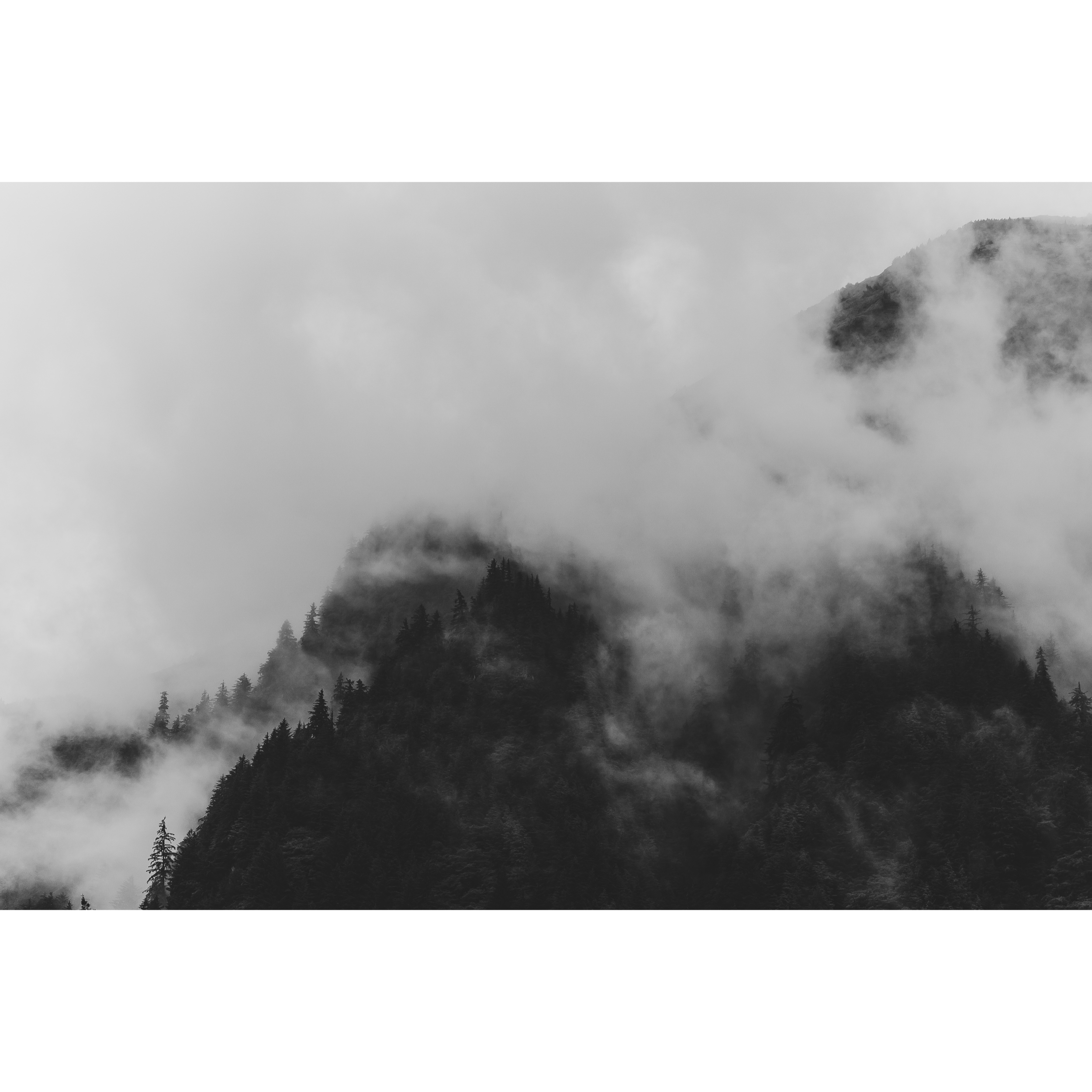 Mountain Fog