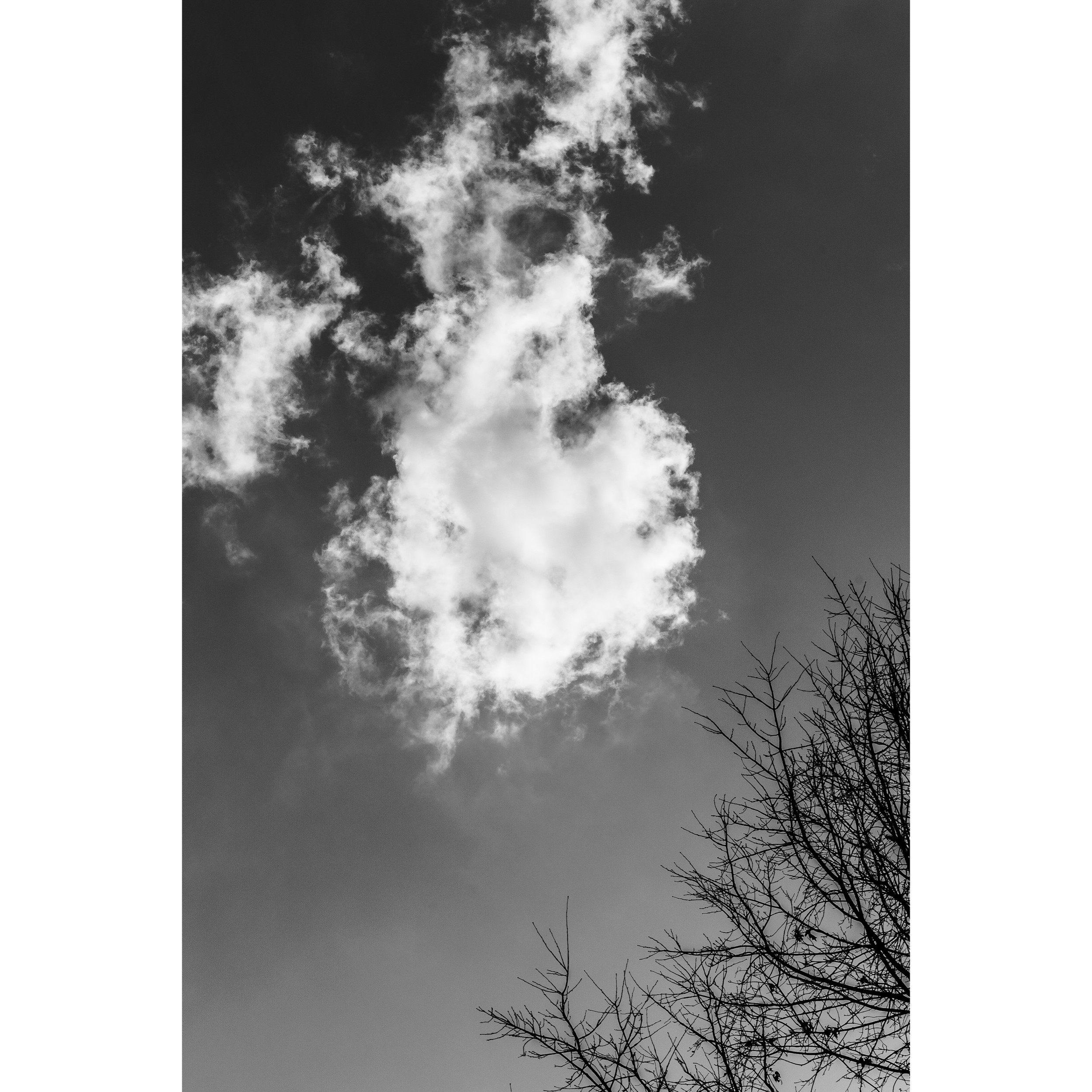 Nashville Cloud II
