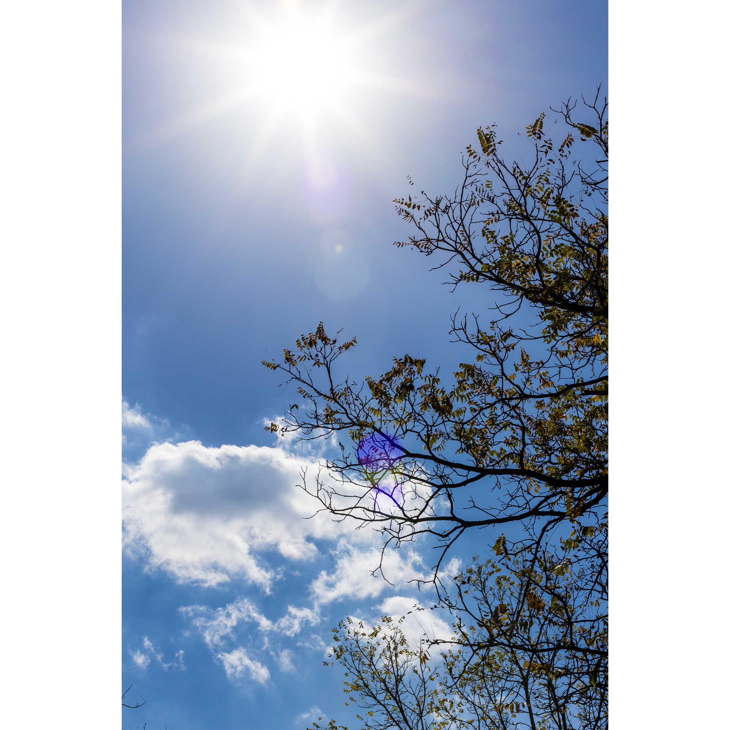 Sun XXVIII