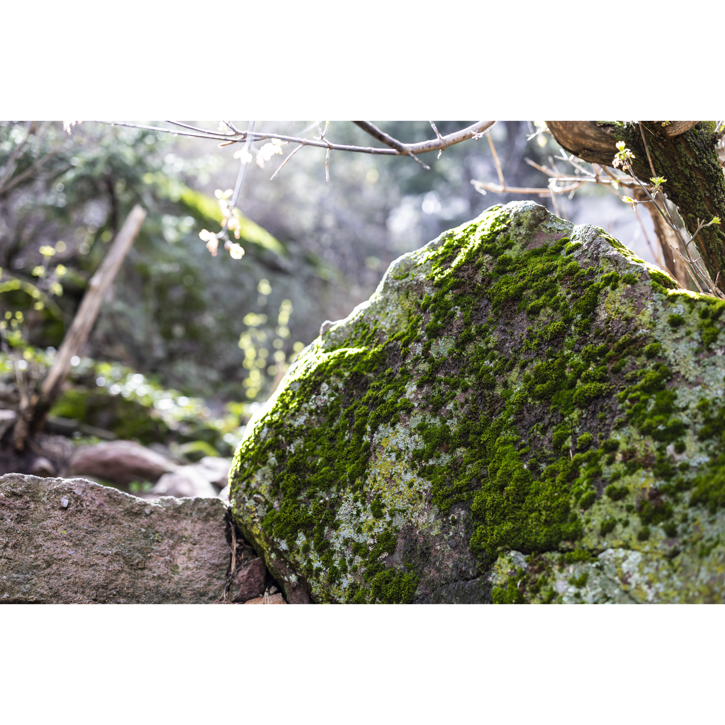 Flatiron Trail