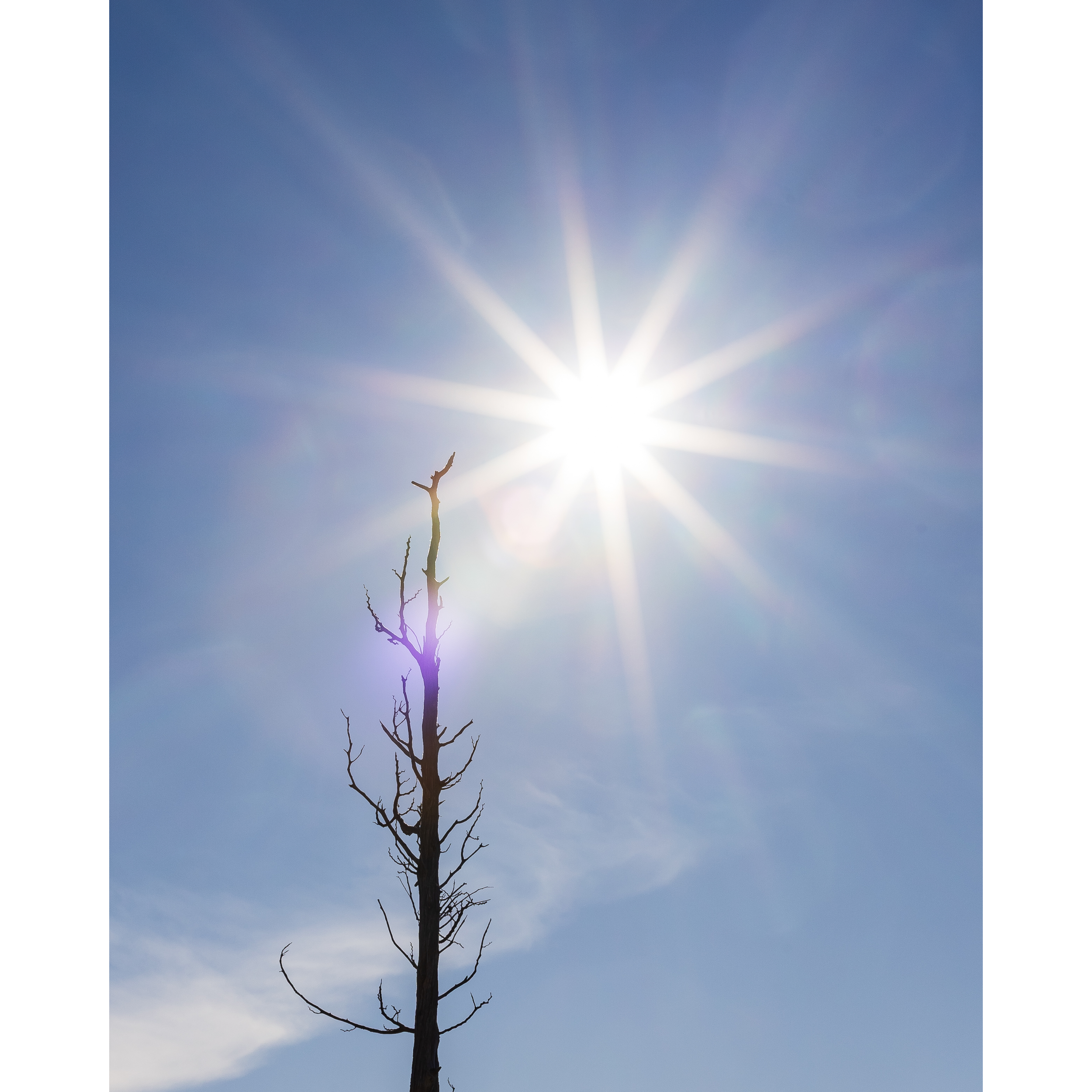 Sun LV
