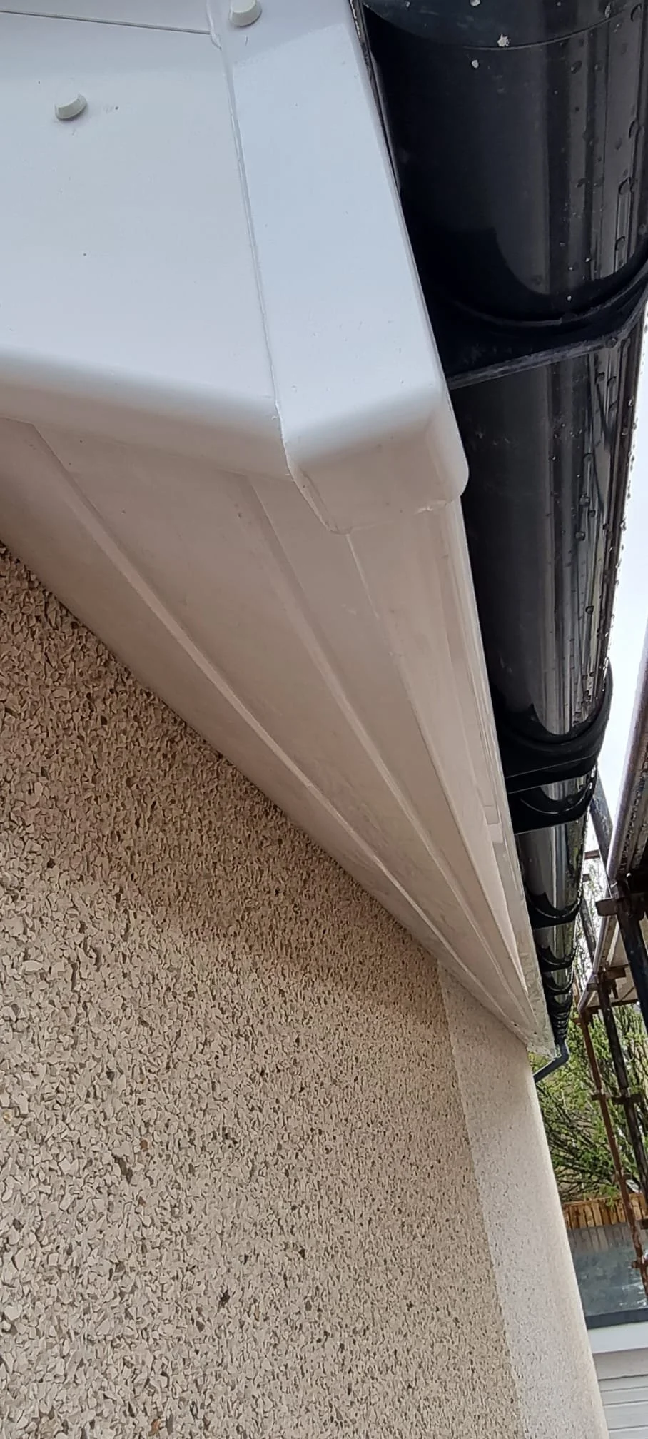 WhatsApp Image 2025-02-17 at 07.08.53 (3).jpeg