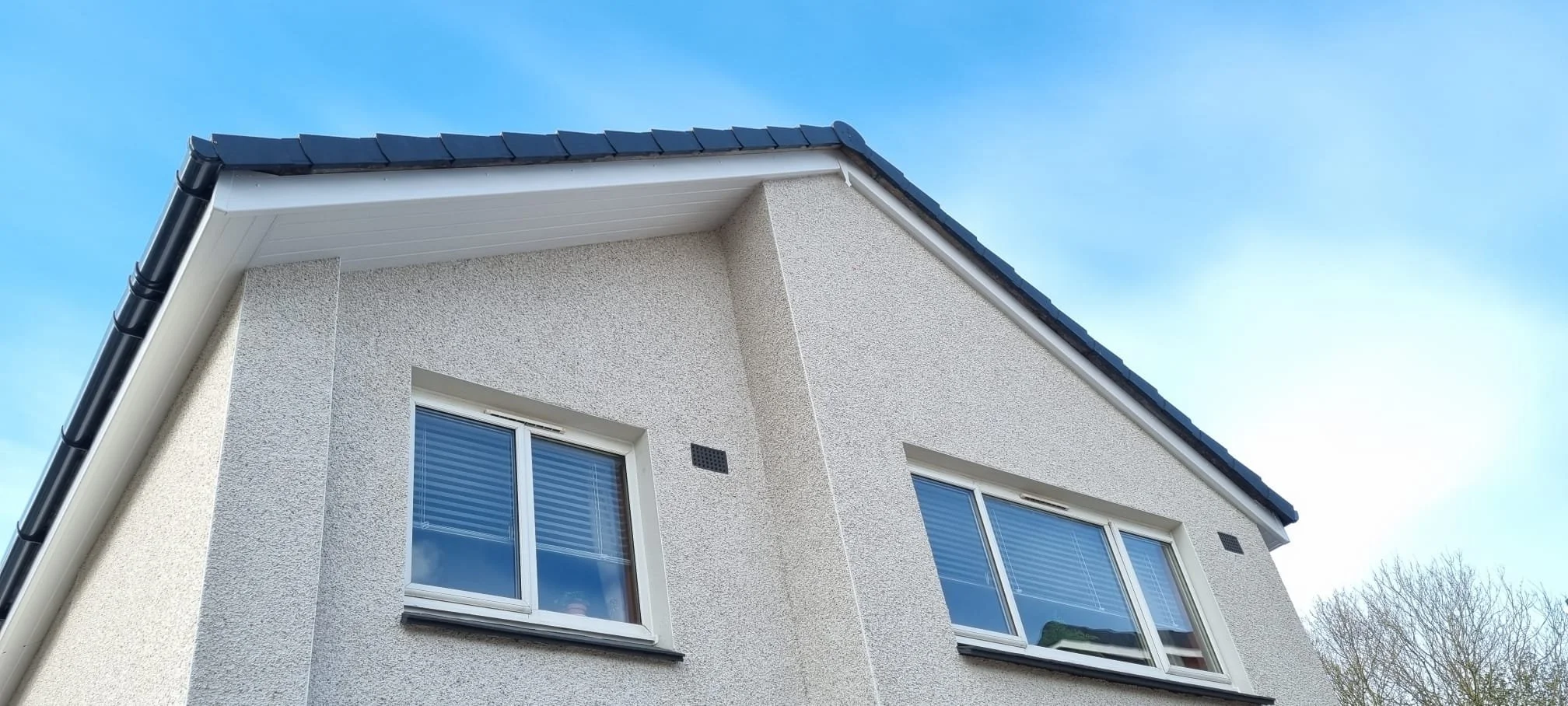 WhatsApp Image 2025-02-17 at 07.08.52.jpeg