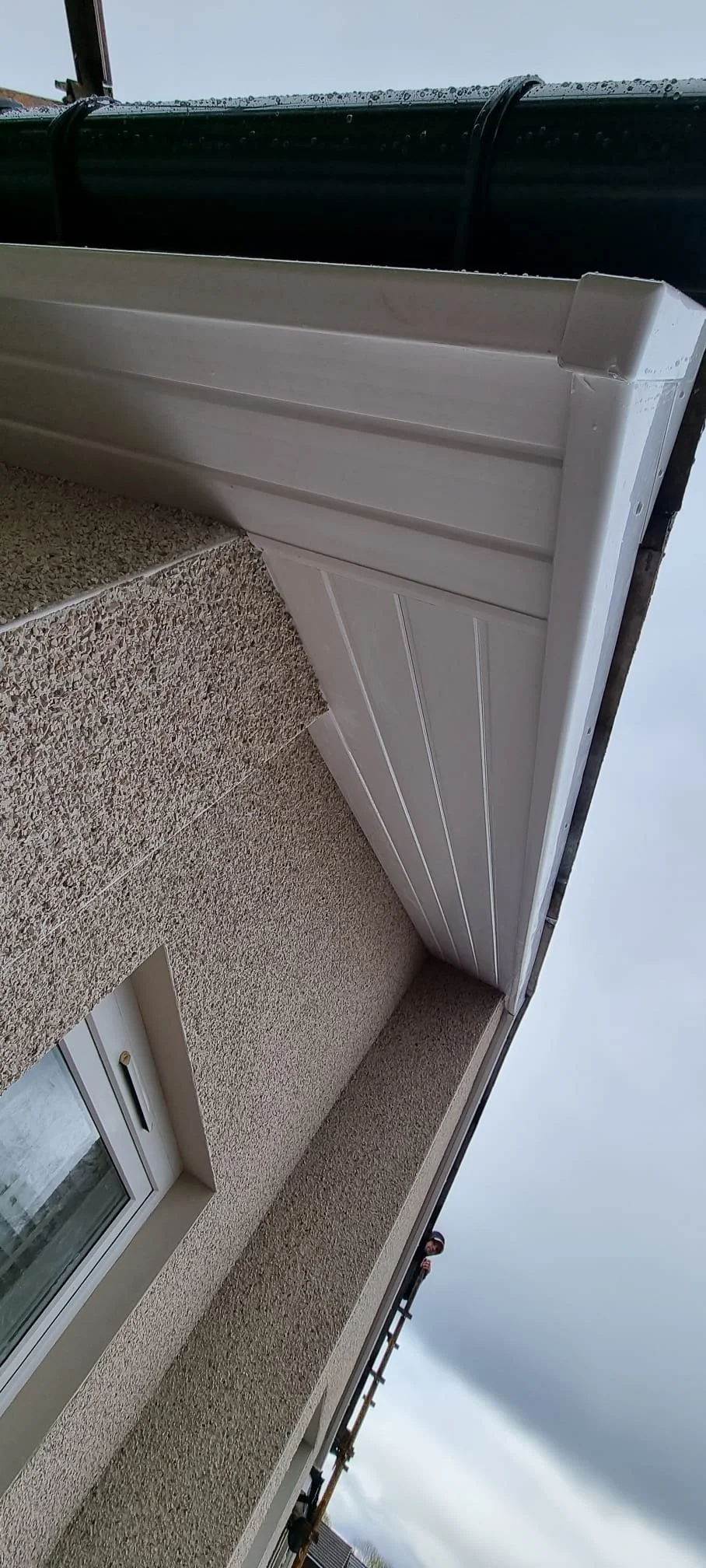 WhatsApp Image 2025-02-17 at 07.08.54.jpeg