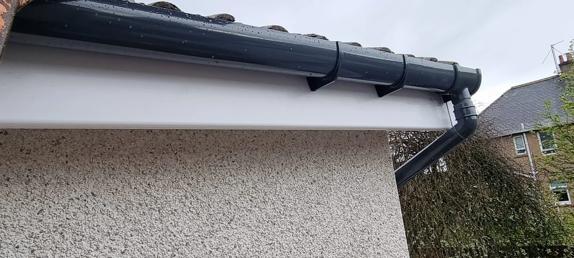 WhatsApp Image 2025-02-17 at 07.08.53 (1).jpeg