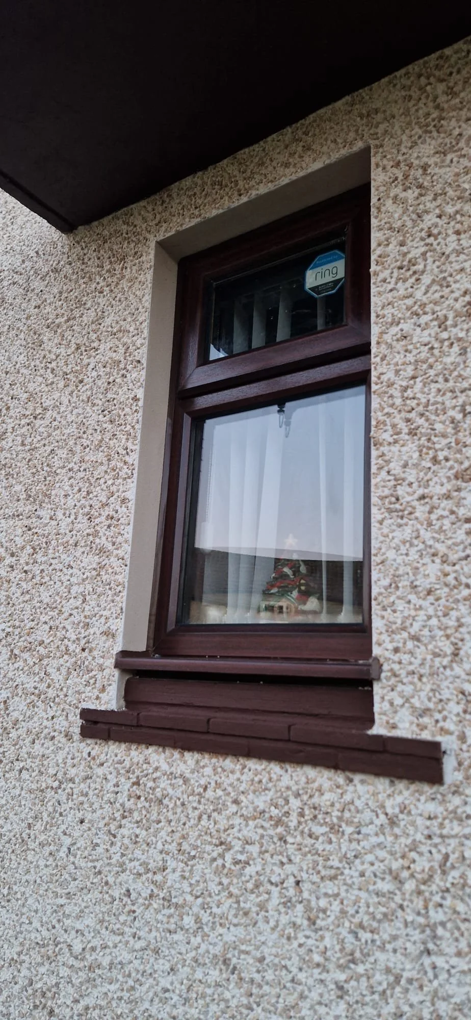 WhatsApp Image 2025-02-19 at 19.07.03_6f7e0b10.jpg