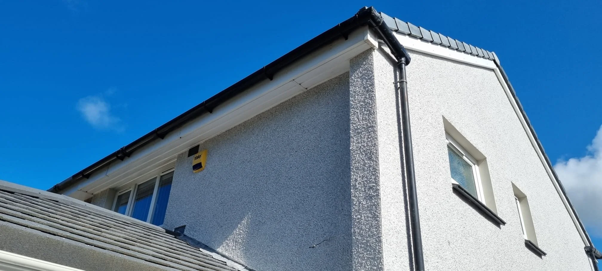 WhatsApp Image 2025-02-17 at 07.08.56.jpeg