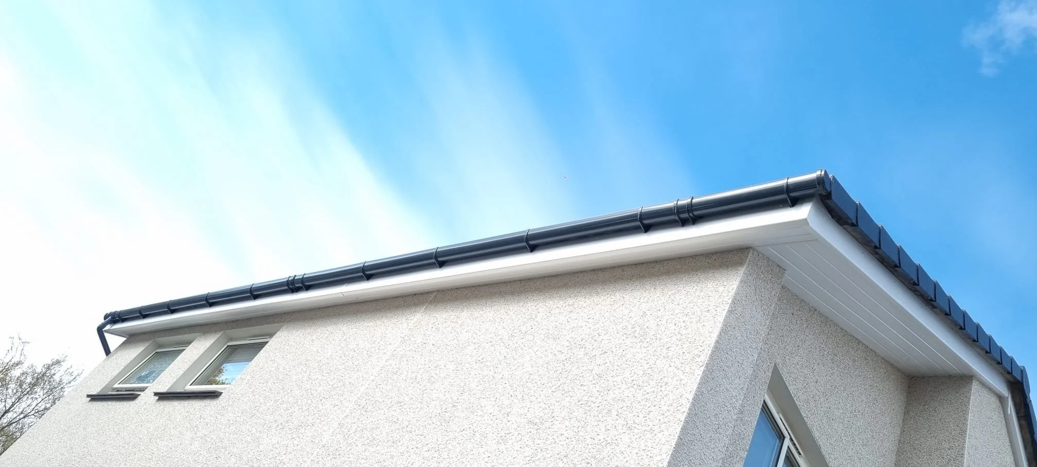 WhatsApp Image 2025-02-17 at 07.08.52 (1).jpeg