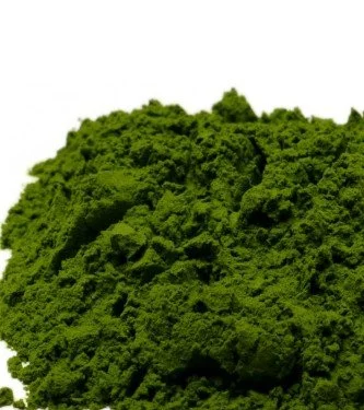 green juice pic.jpg
