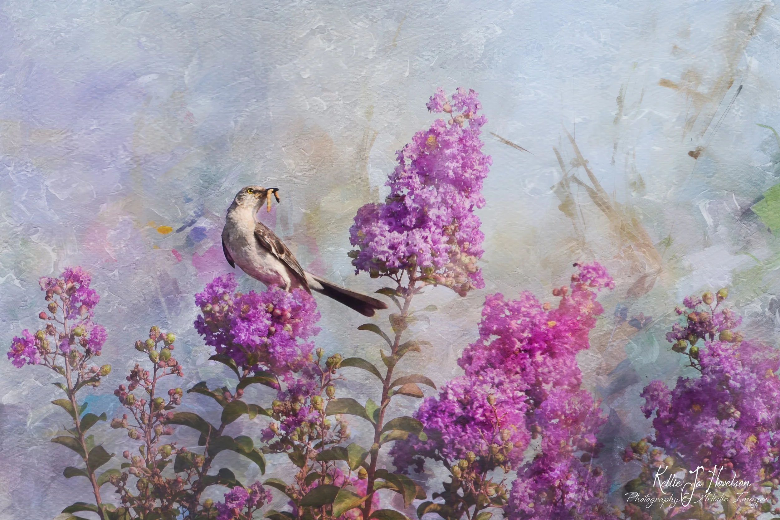 "Tasty Snack in the Purple Patch"