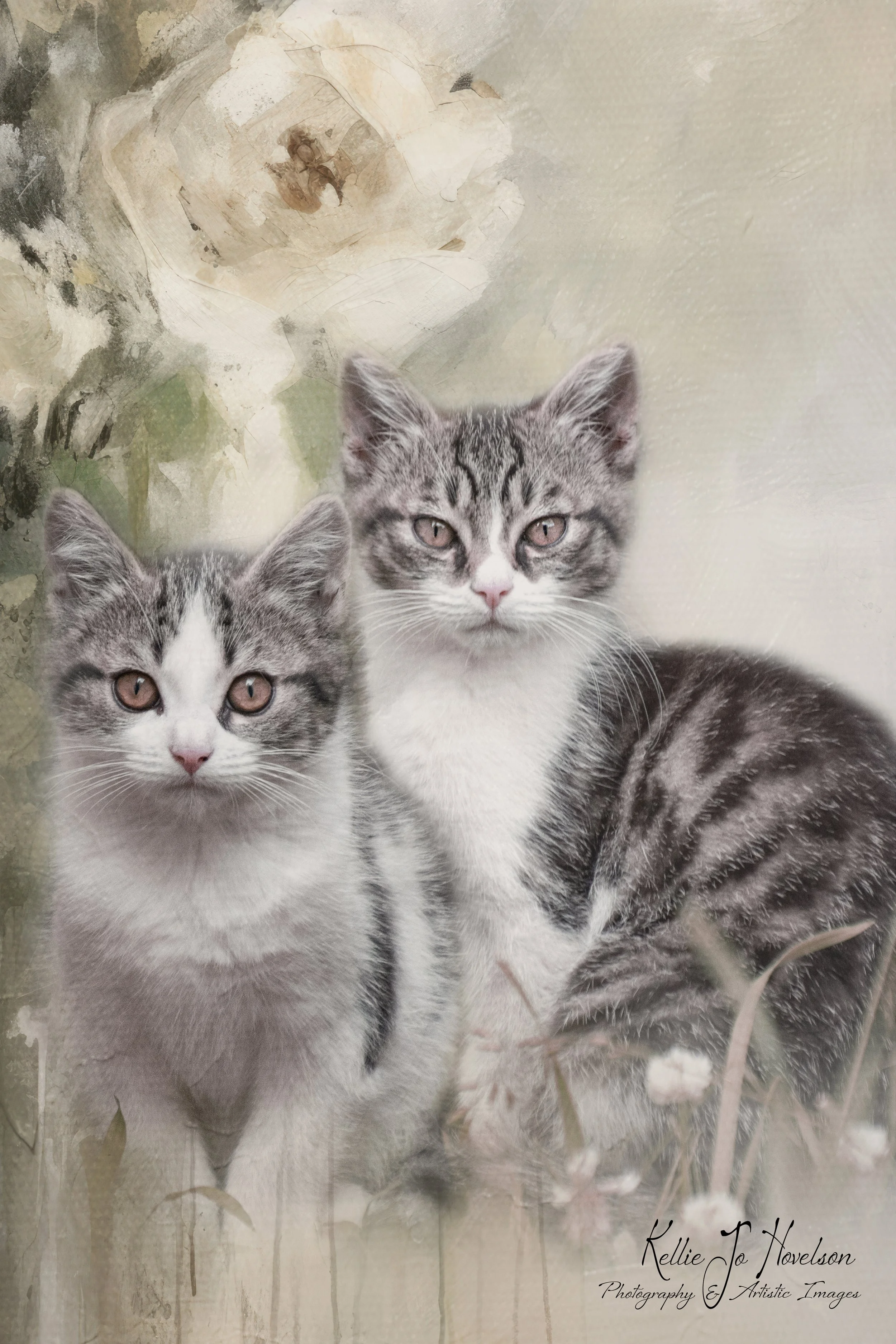 Paws & Petals Harmony