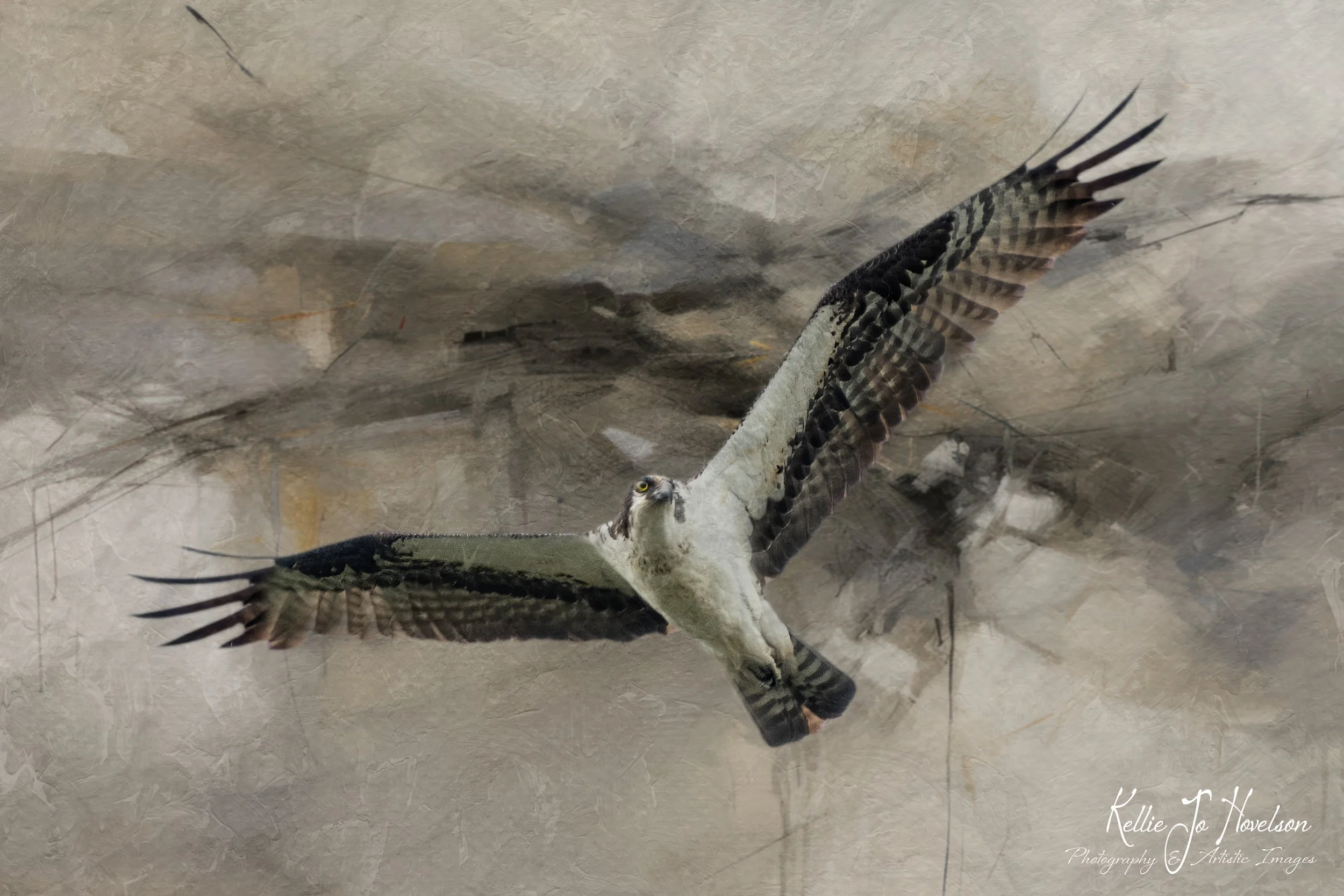 "Flight of Untamed Elegance"