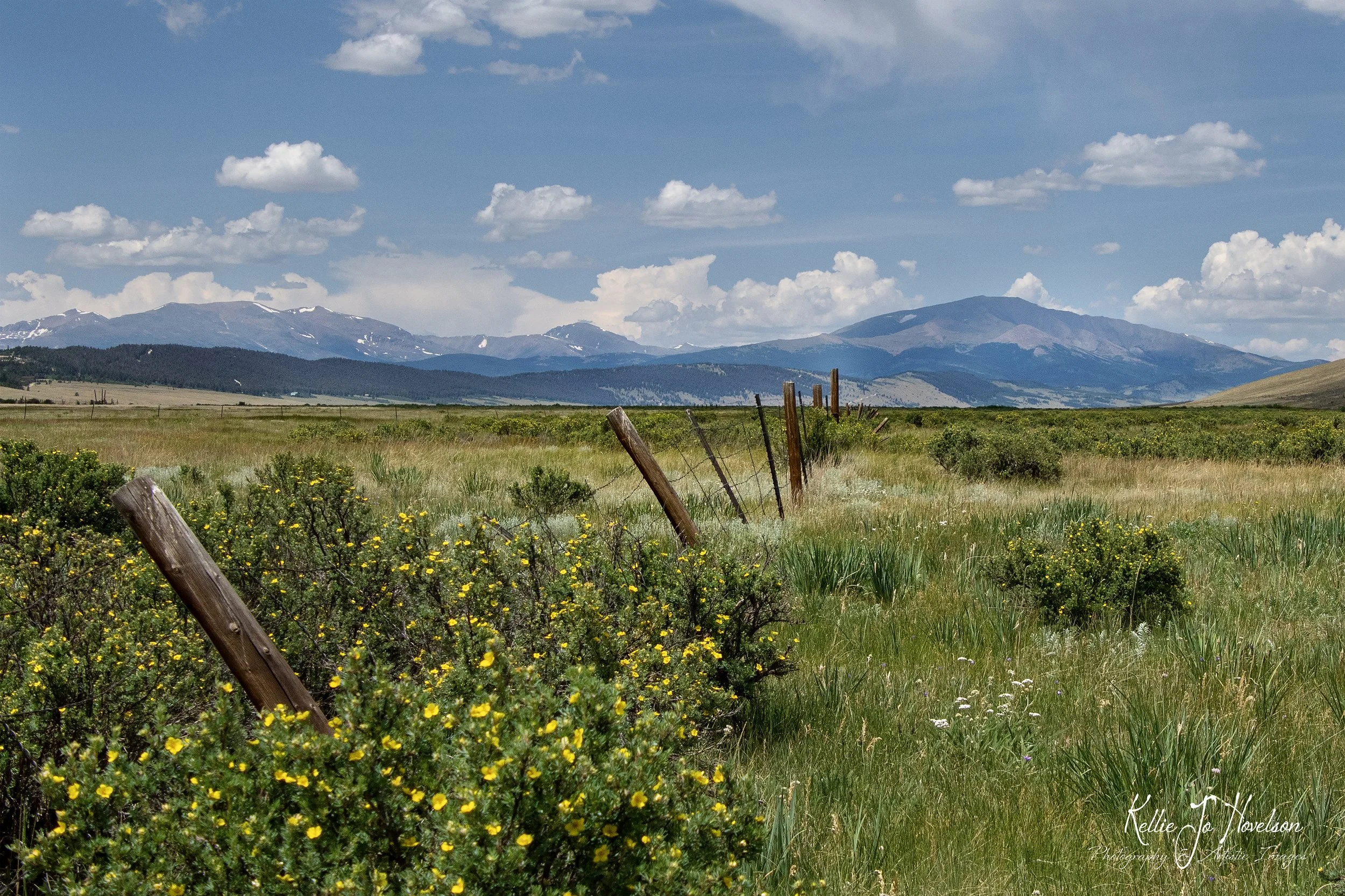 "Echos of the Serene Divide" 
