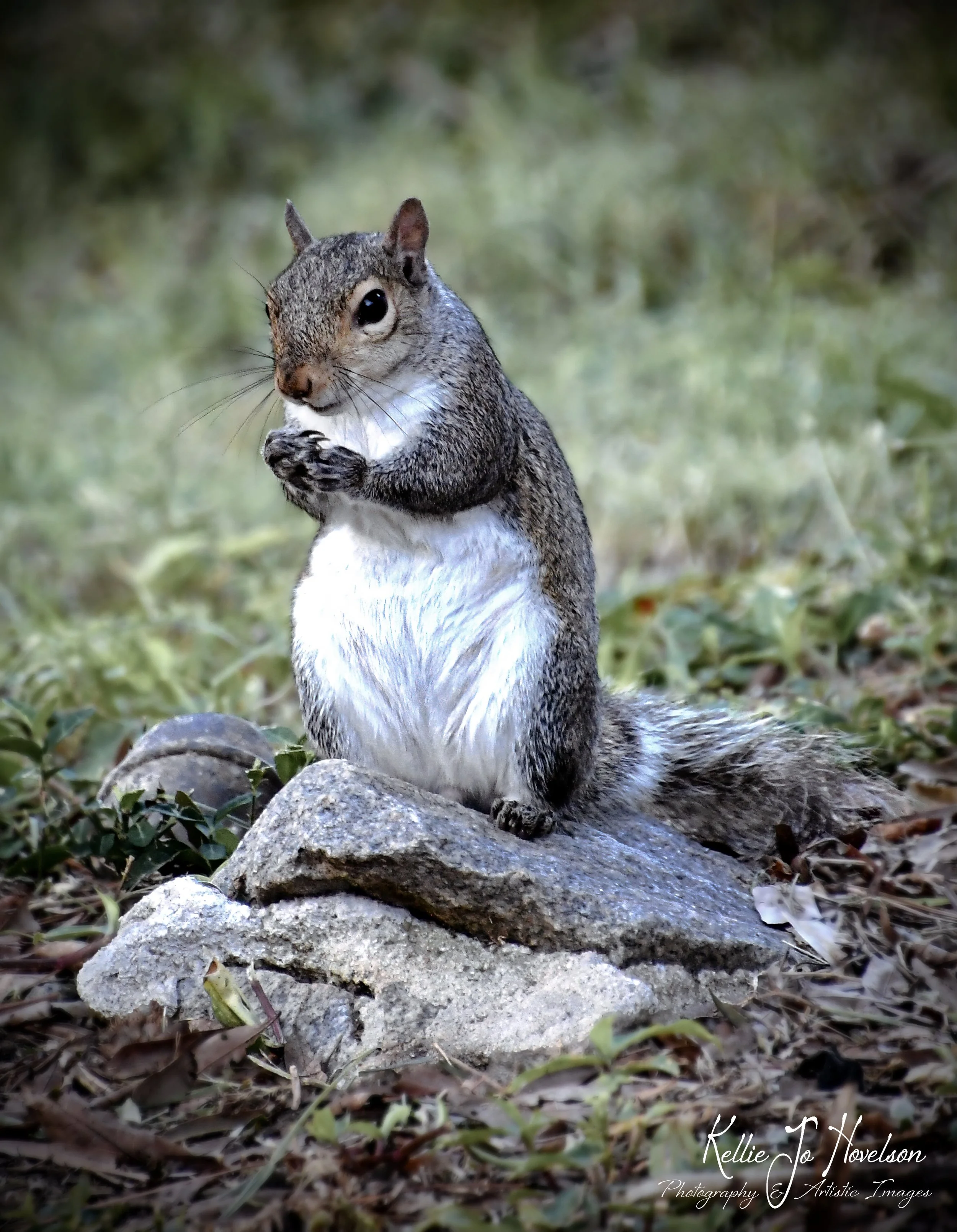 “Uhm . . . The Bird Feeder Is Empty" 