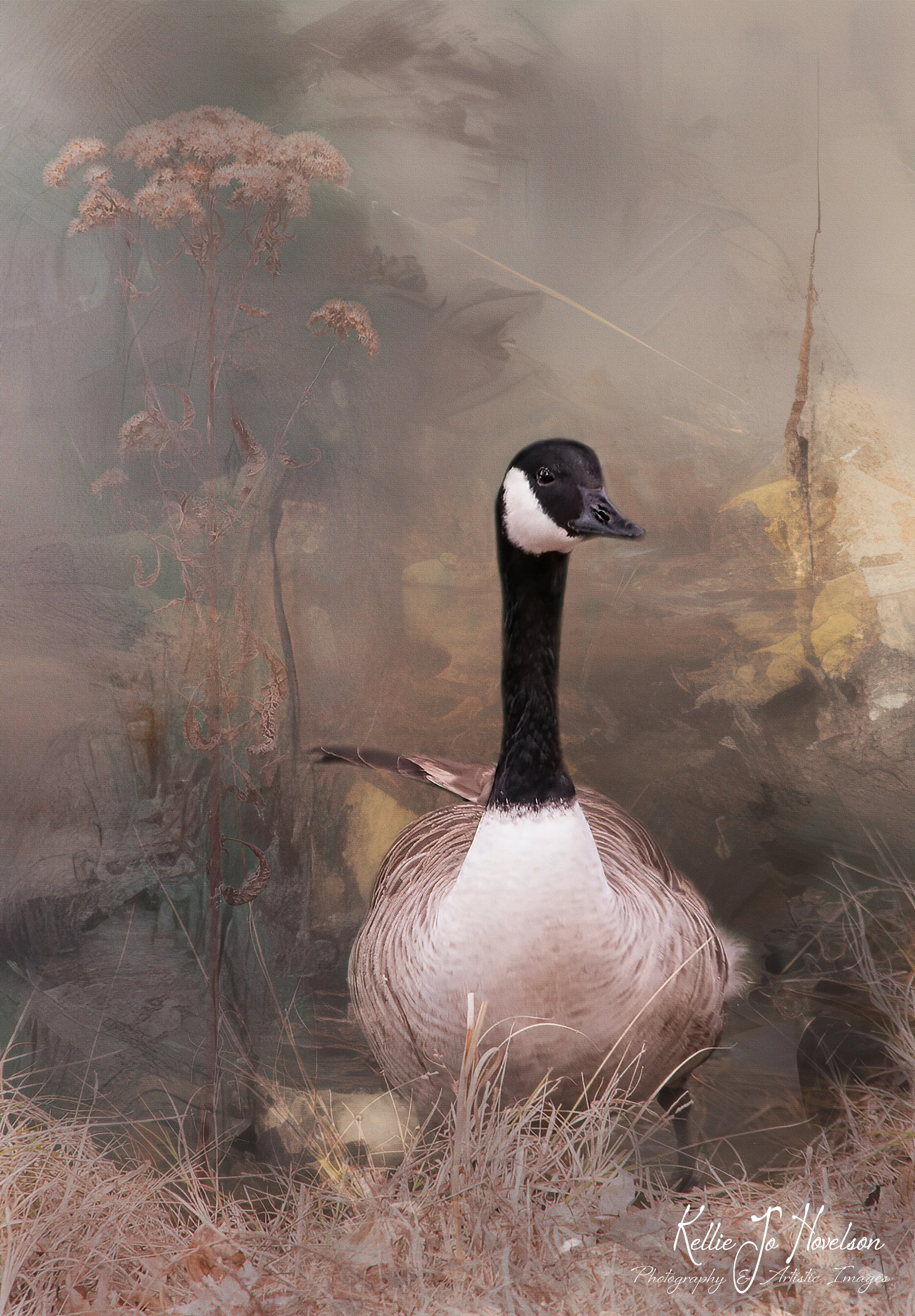 "In Autumn's Gentle Grasp"