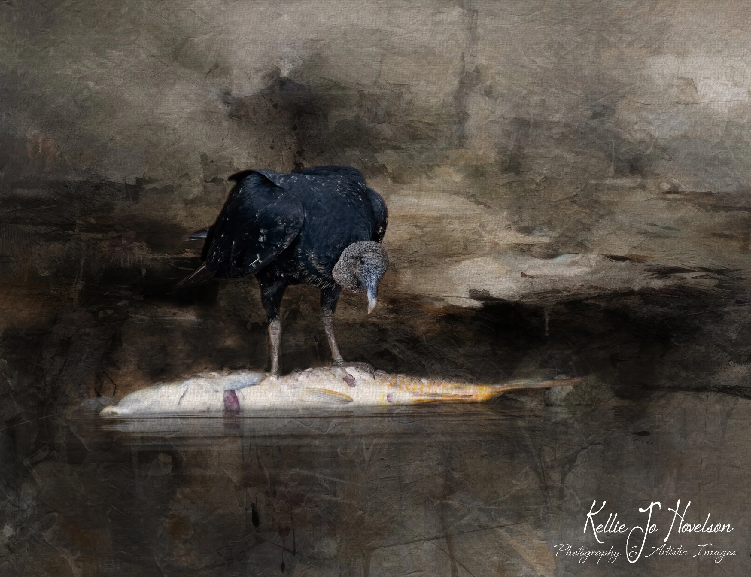 "The Purpose of the Vulture''