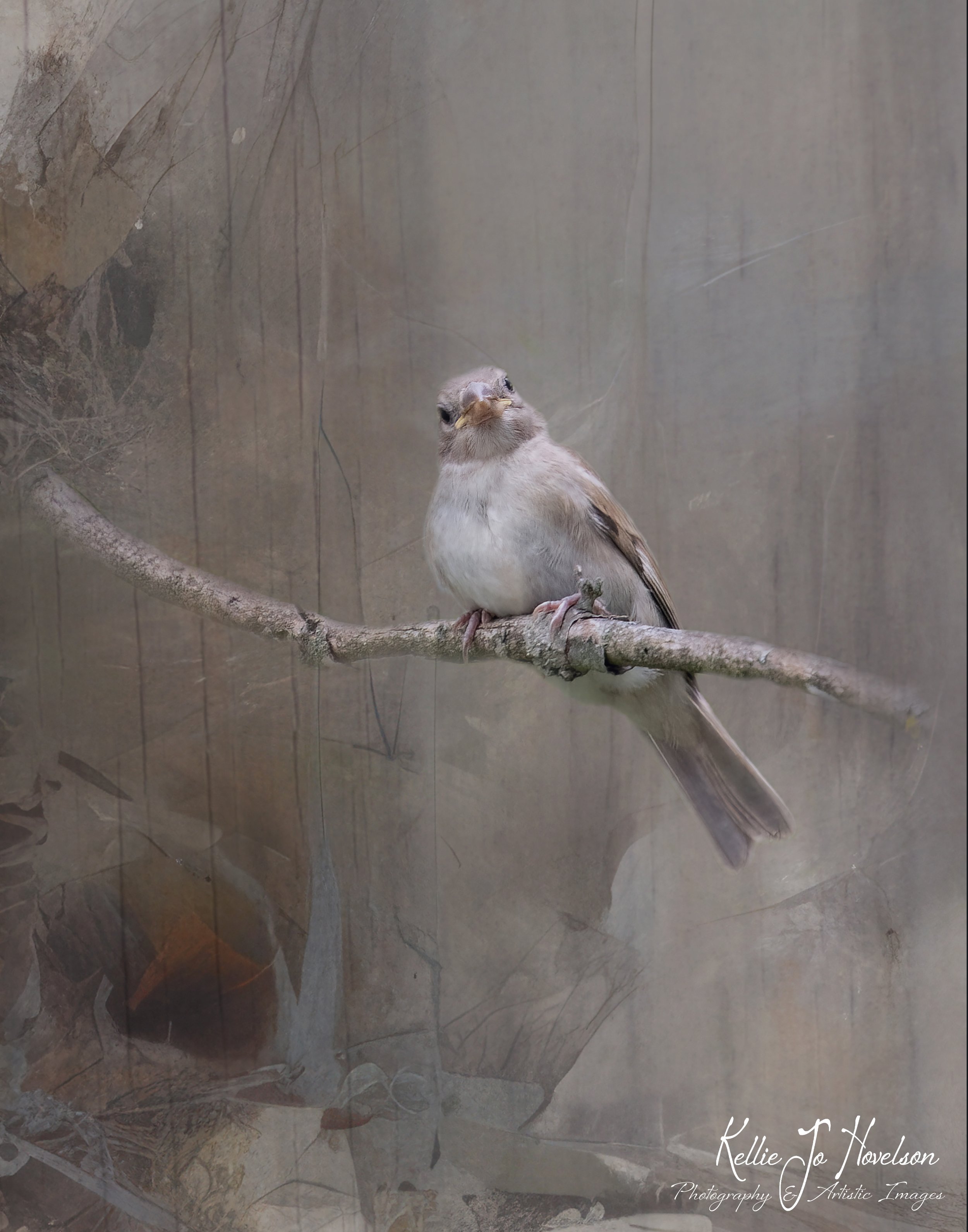 "A Songbird's Joyful Epitome"