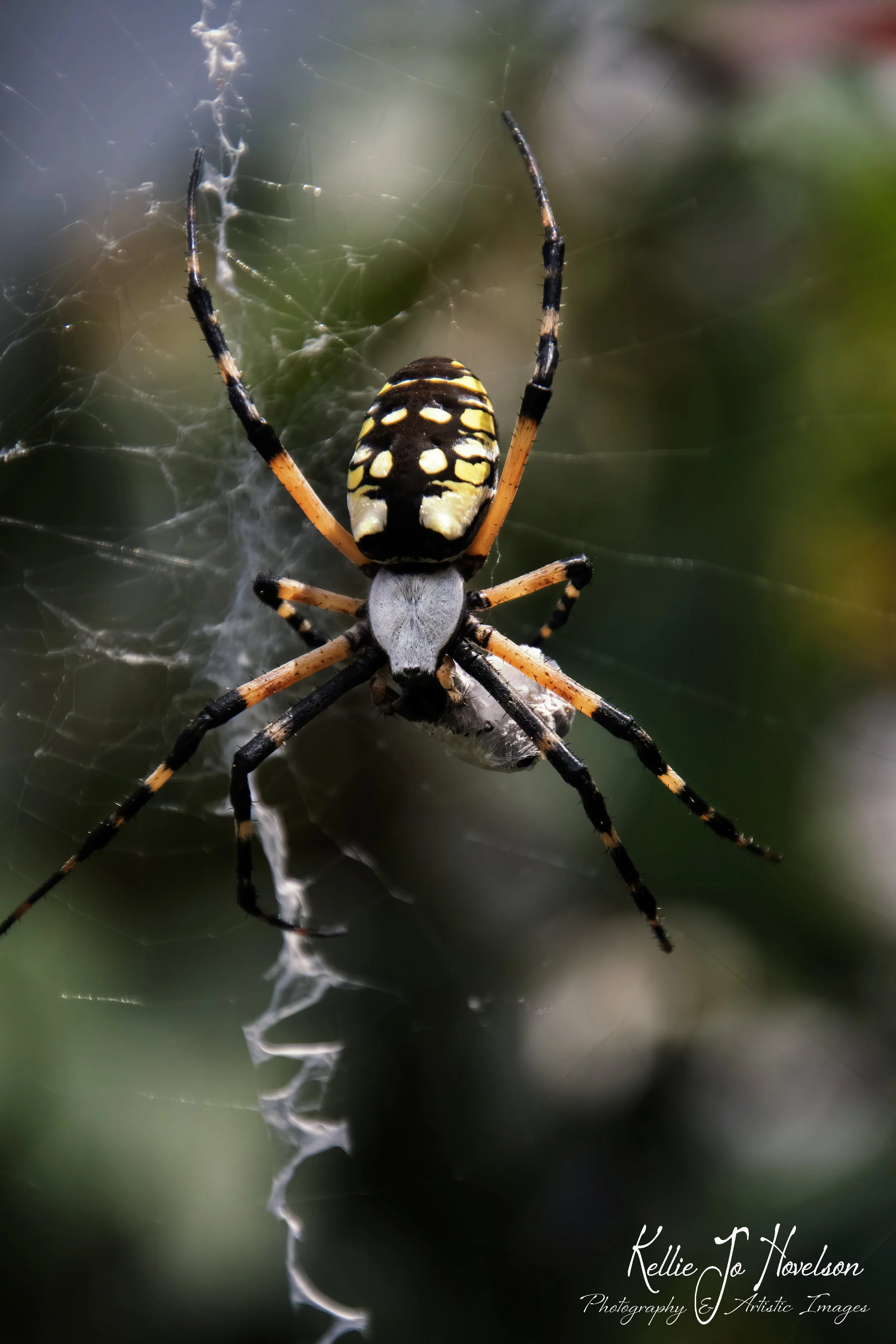 "Custodian of the Garden" 
