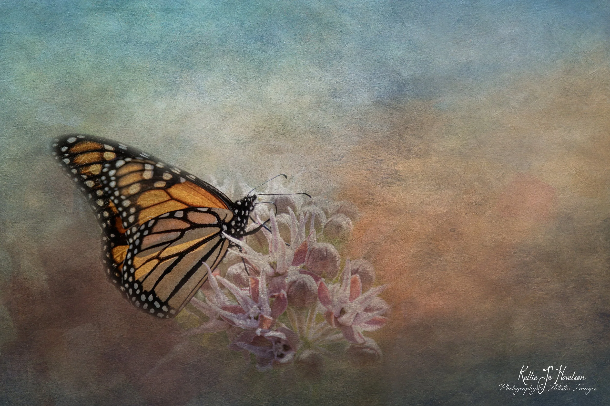 "Majesty of the Monarch"