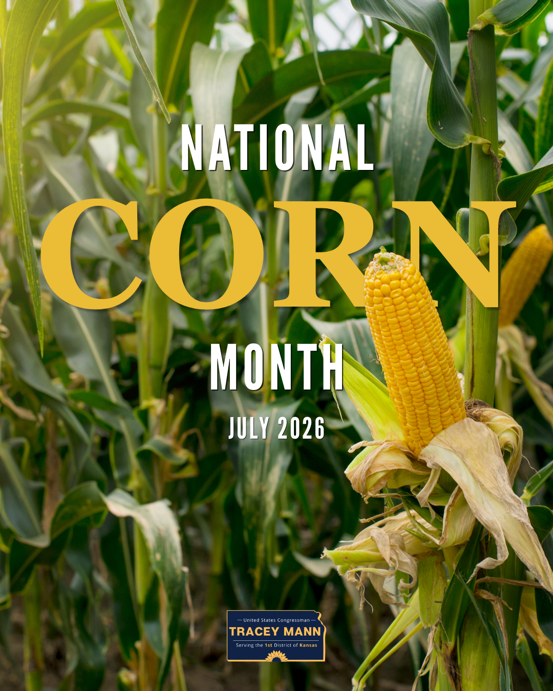 National Corn Month.png