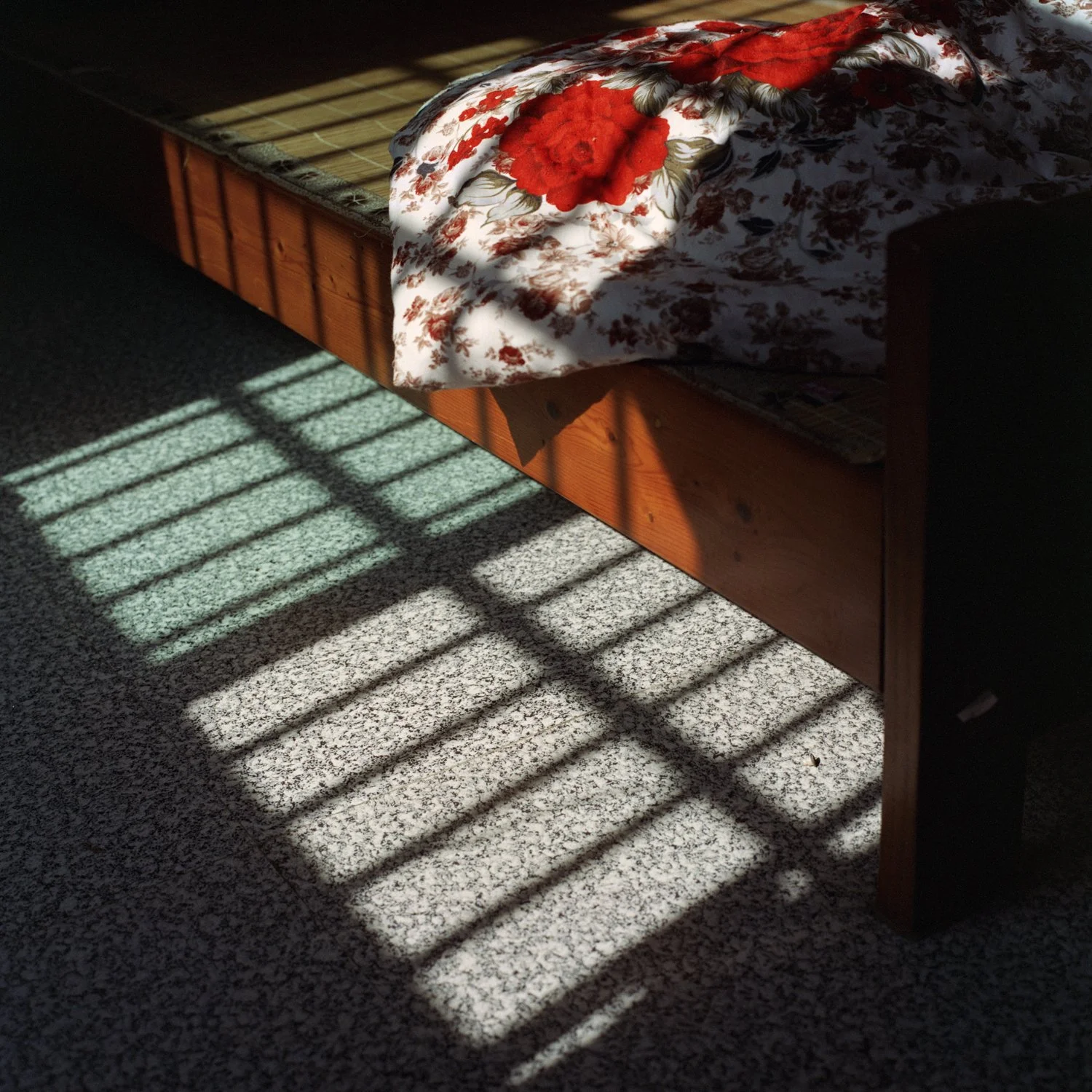 2024 Summer at home_120 Color 007-2.jpg