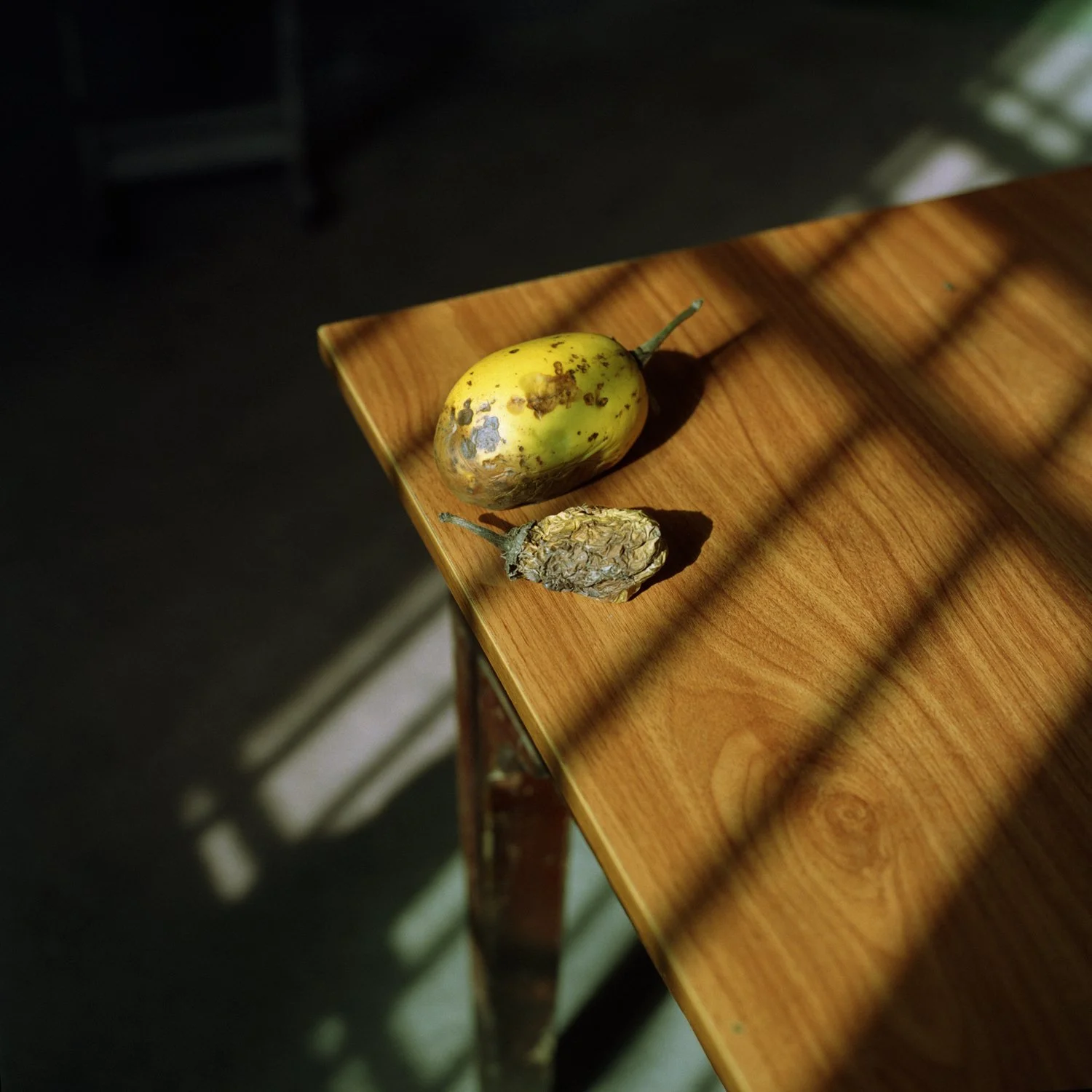 2024 Summer at home_120 Color 003-2.jpg