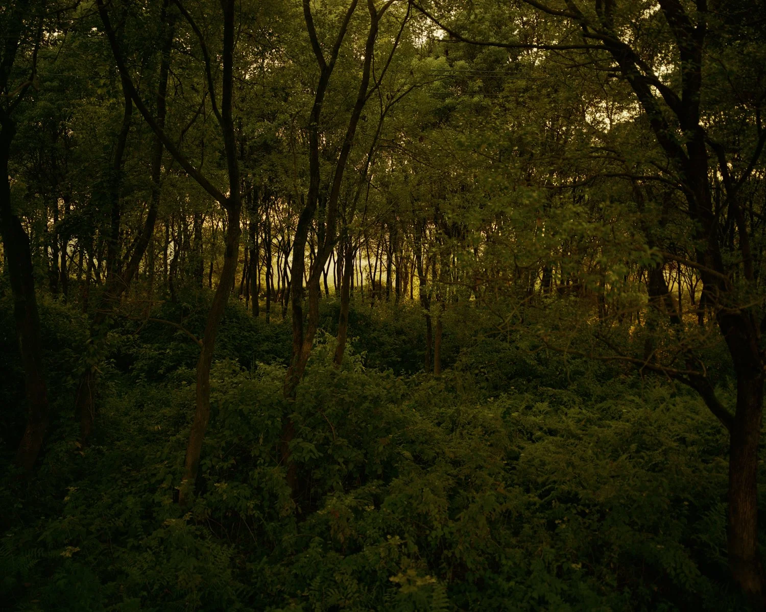 2024 Summer at Home 022 copy.jpg