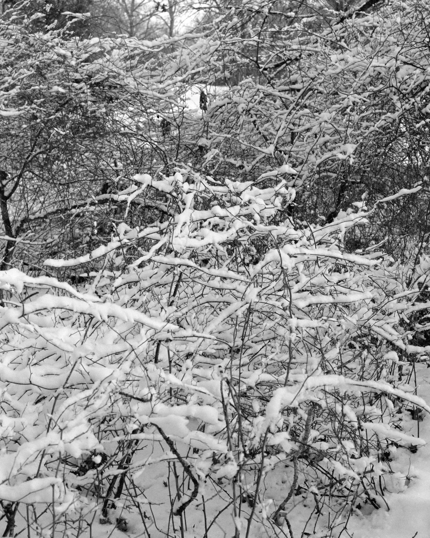 File No - 011 014.jpg