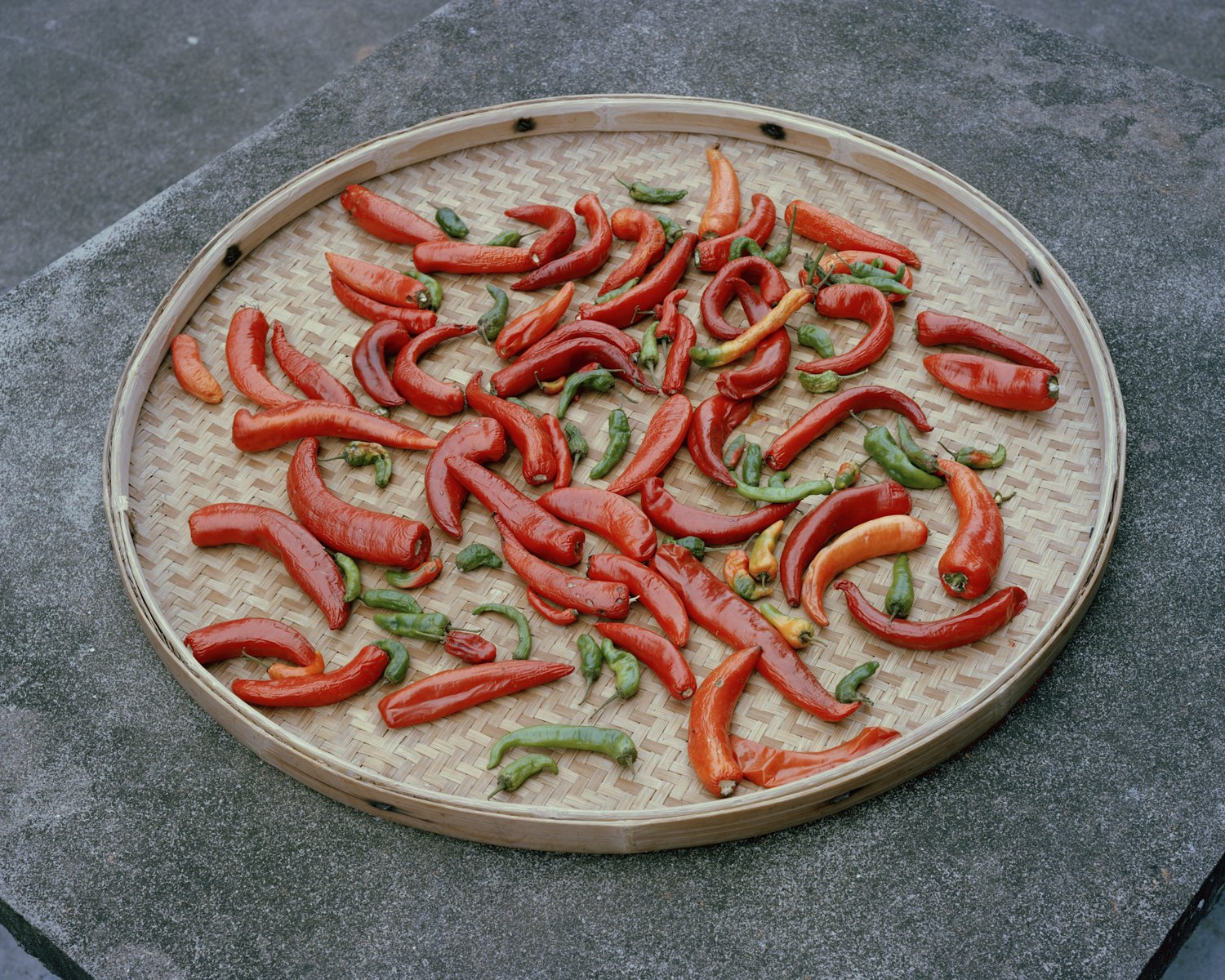 2024-10 At Home 005 copy.jpg