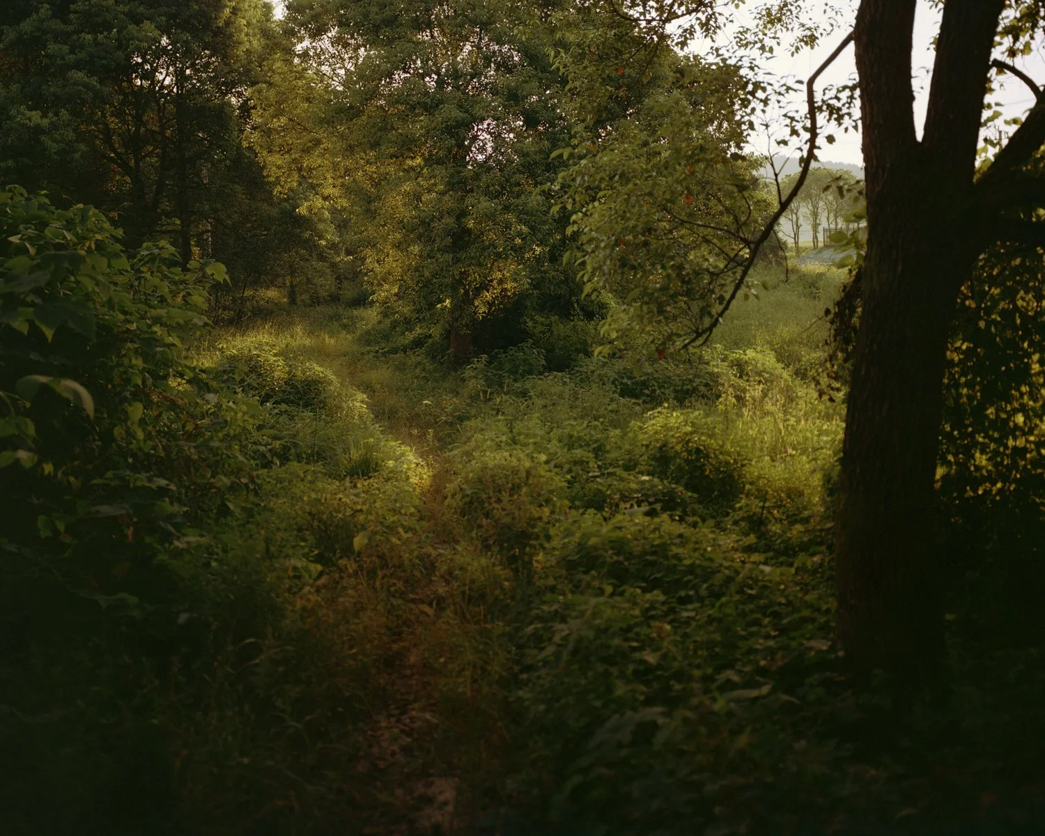 2024 Summer at Home 028.jpg