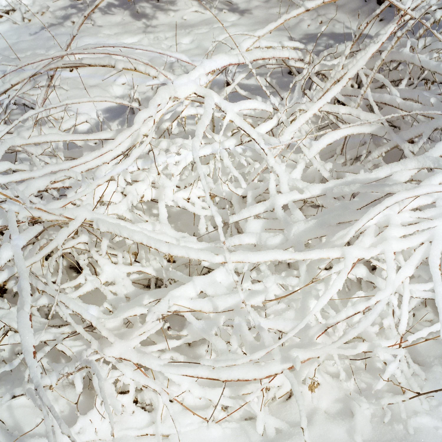 File No - 009 019.jpg