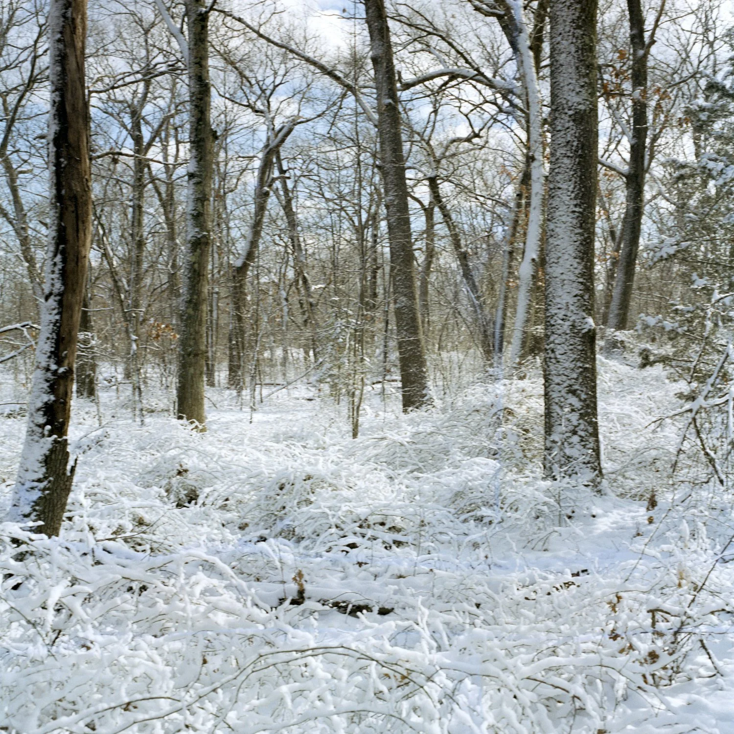 File No - 009 010.jpg