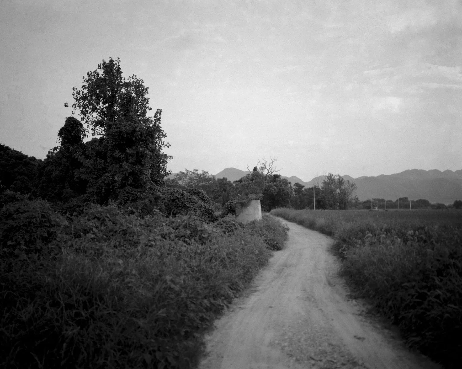 2024 Summer at Home 026 copy.jpg