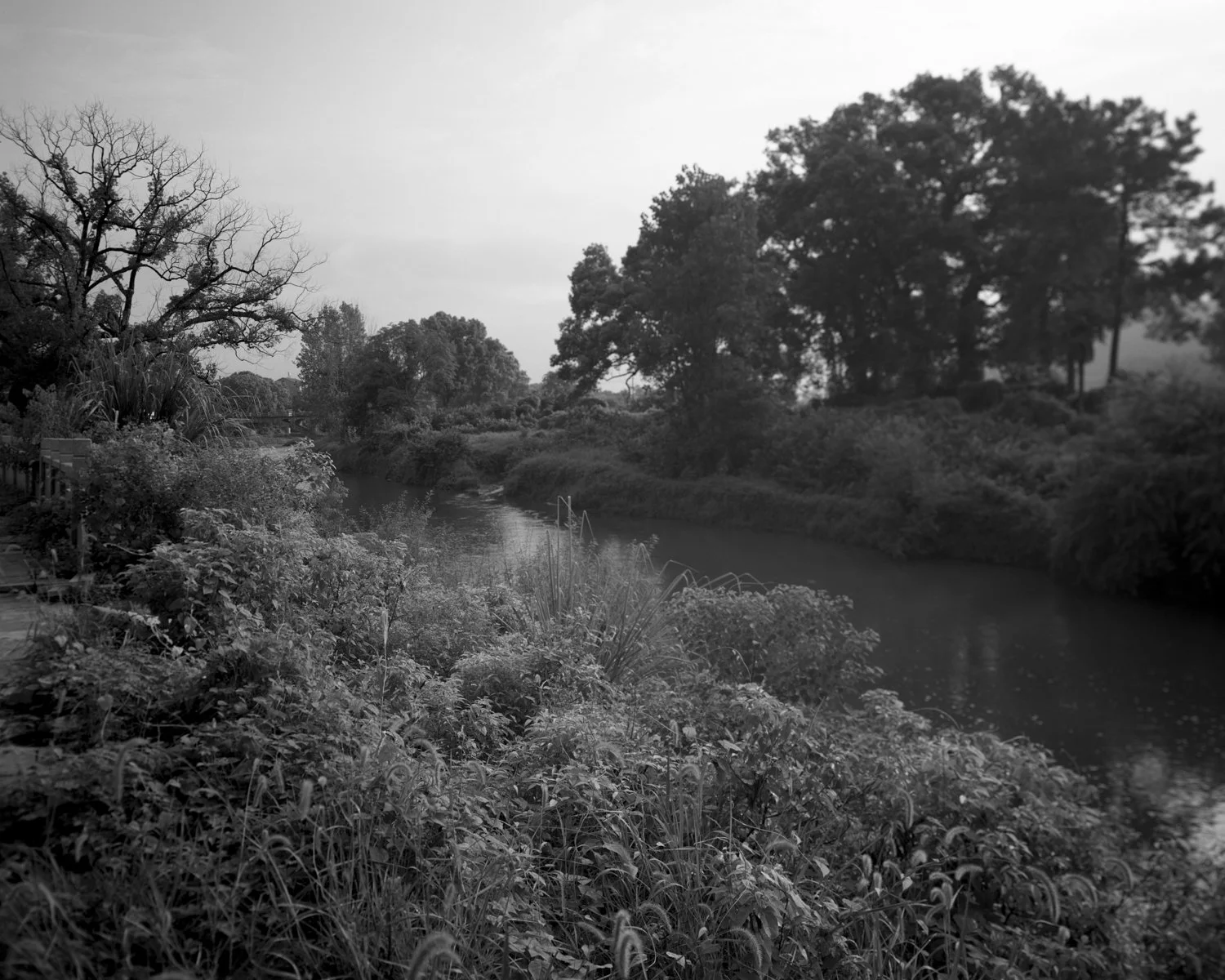 2024 Summer at Home 015 copy.jpg