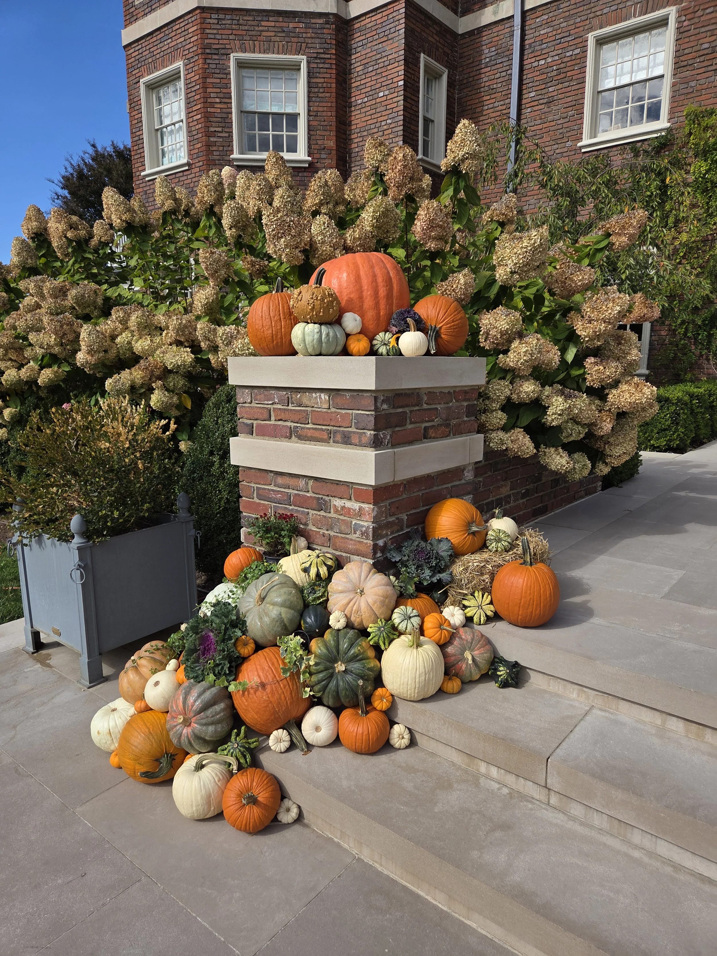 The Best Fall Porch Decorators in the DMV — A 2026 Buyer's Guide