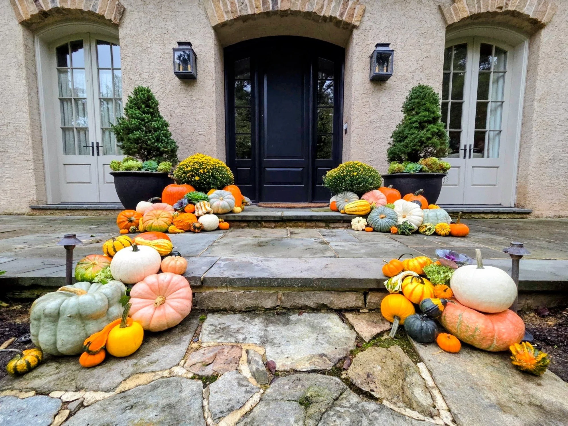 Front porch decorated with autumn pumpkins, gourds, and chrysanthemums, flanked by two small trees in pots, with closed black front door and side windows.