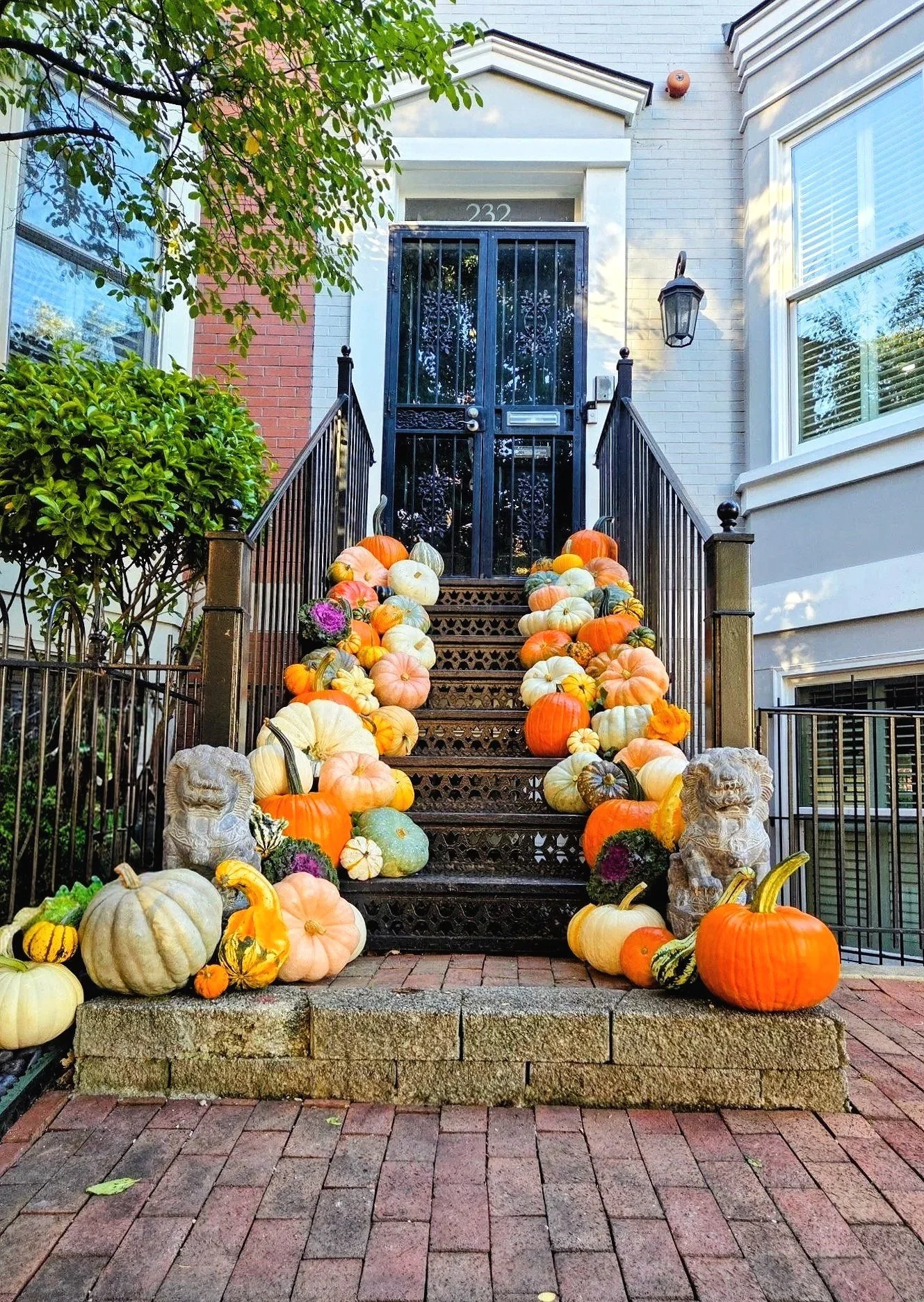 Seasonal Showstopper pumpkin display in Capital Hill Washington DC