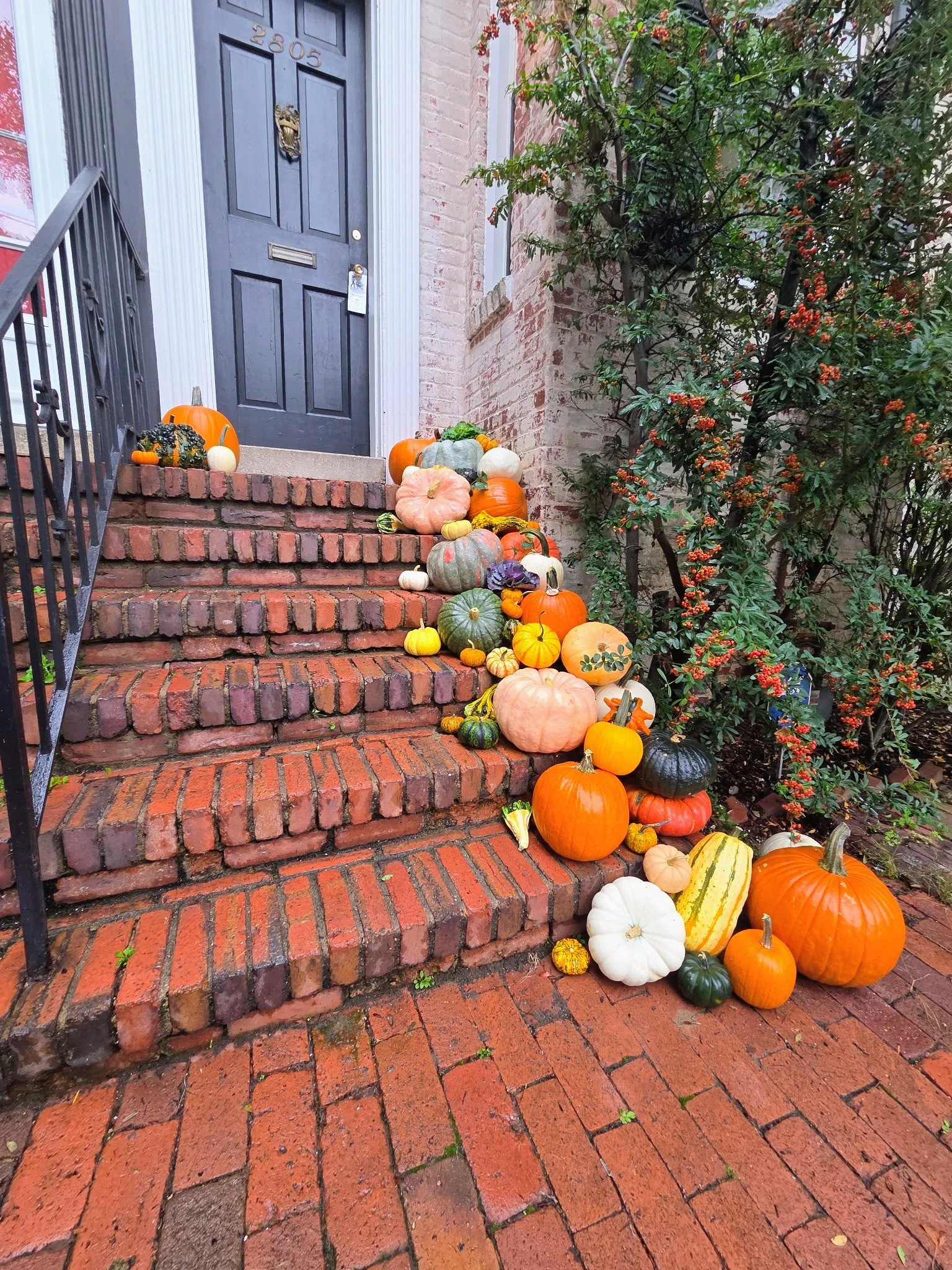 A house entrance with brick stairs decorated with fall pumpkins and gourds, and a black door with the house number 2805. There is a railing on the left side and a bush with orange berries on the right.
